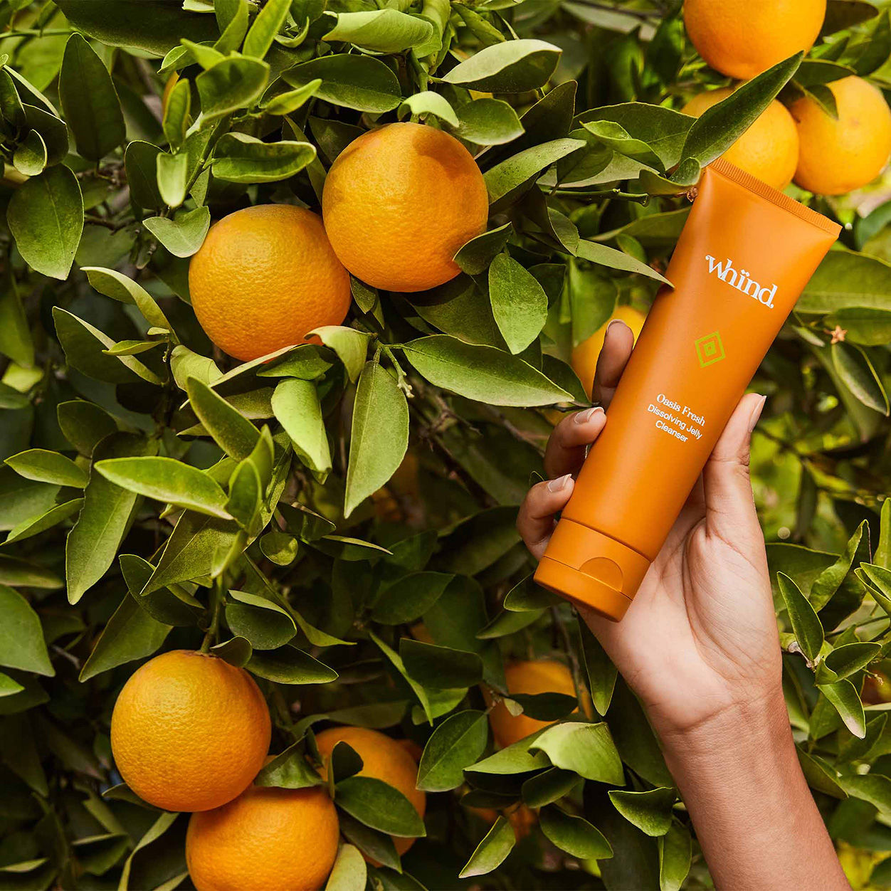 Whind Oasis Fresh Dissolving Jelly Cleanser