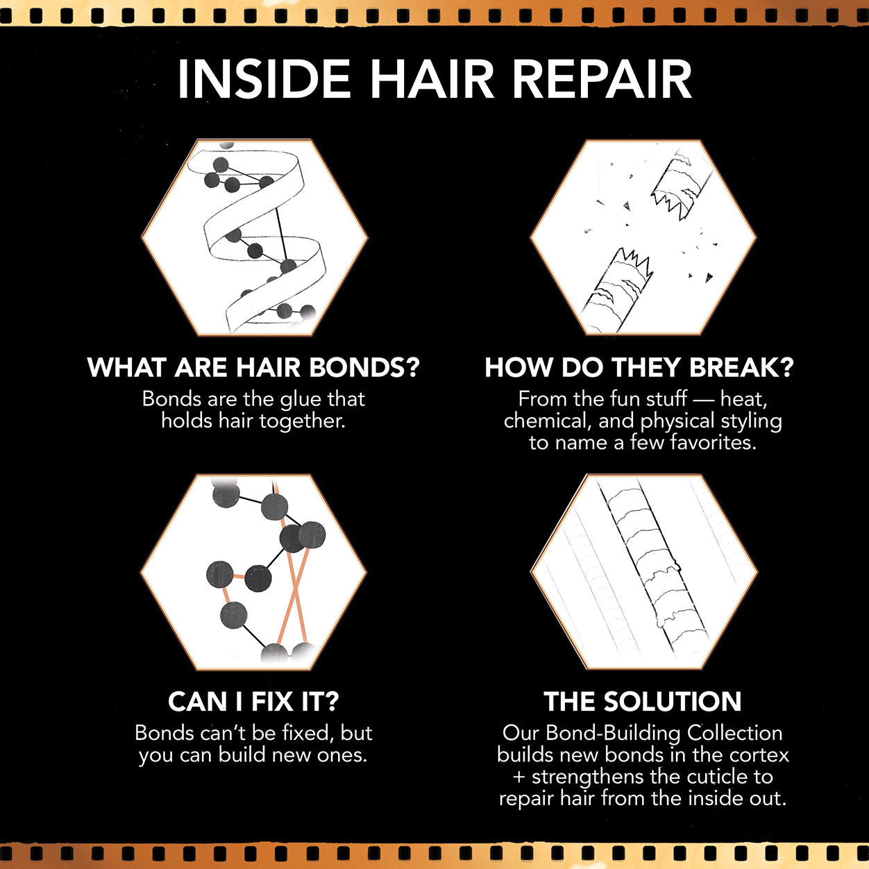 Information related to Bumble and Bumble Bond-Building Repair Oil Serum
