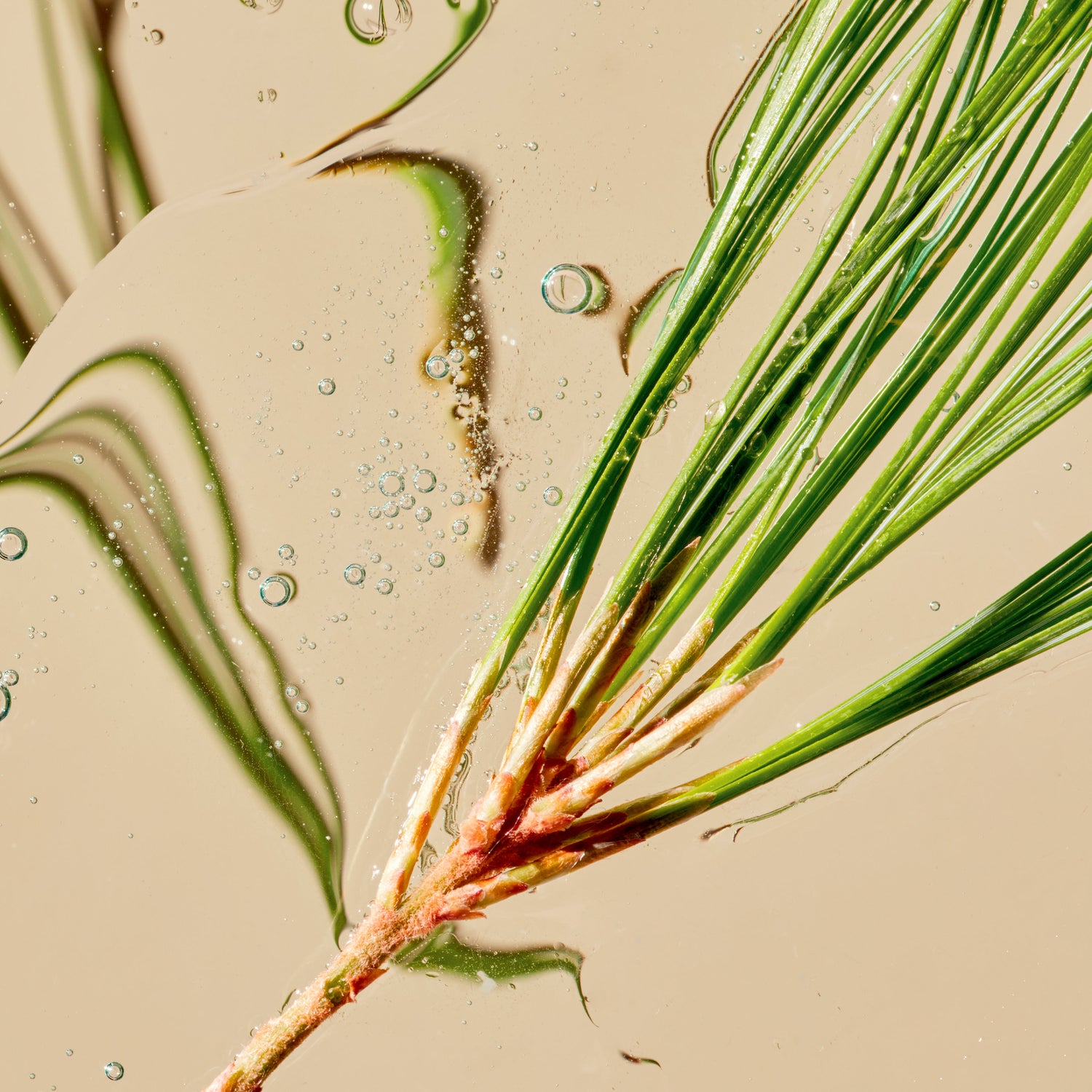 Tata Harper Superkind Refining Cleanser