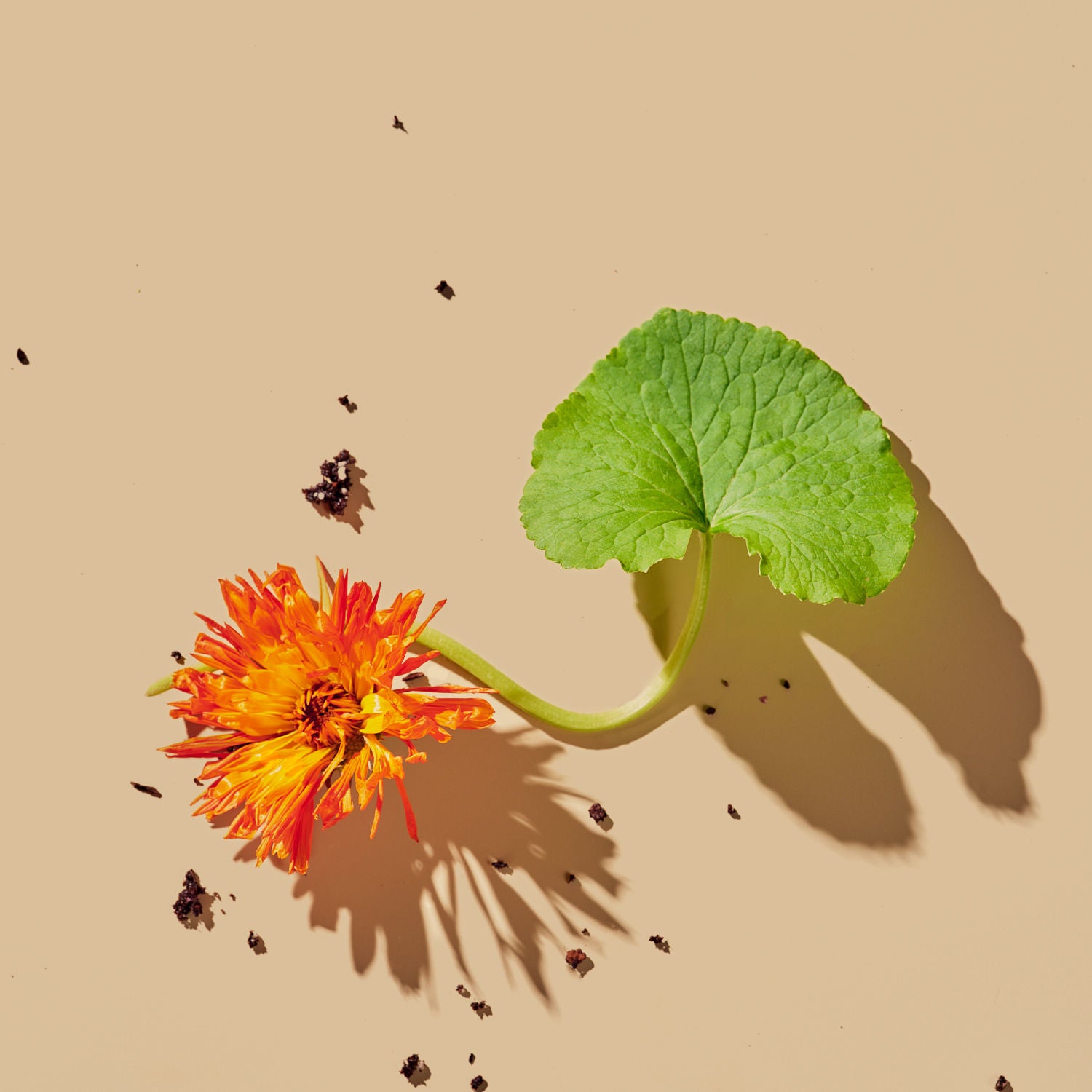 Tata Harper Superkind Refining Cleanser