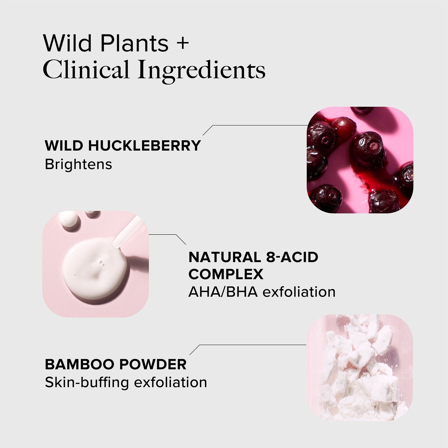Alpyn Beauty Wild Huckleberry 8-Acid Polishing Peel