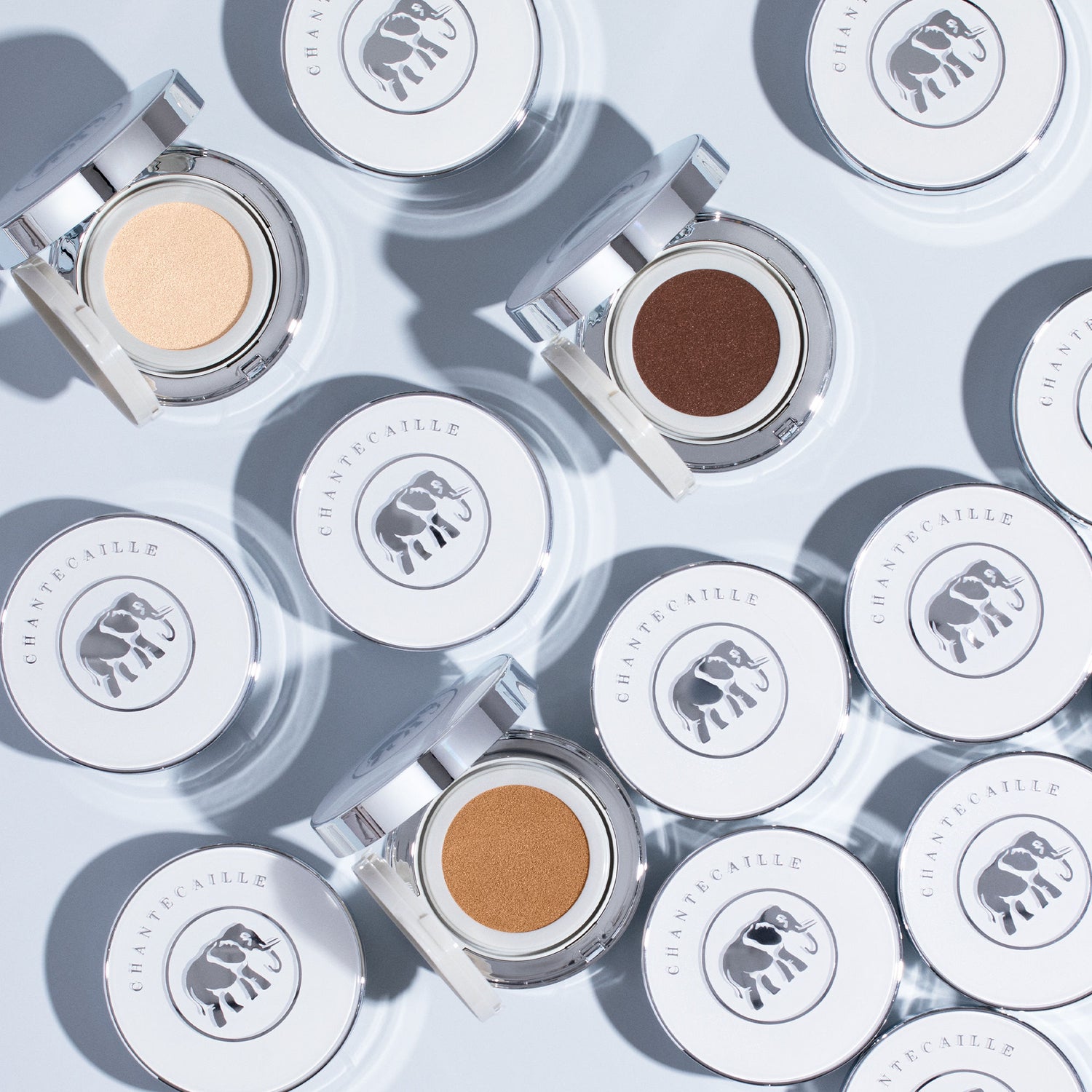 Chantecaille Future Skin Cushion Skincare Foundation