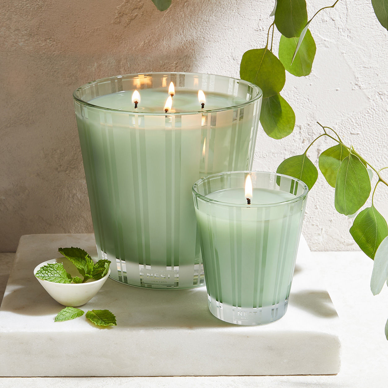 Nest Wild Mint and Eucalyptus Candle