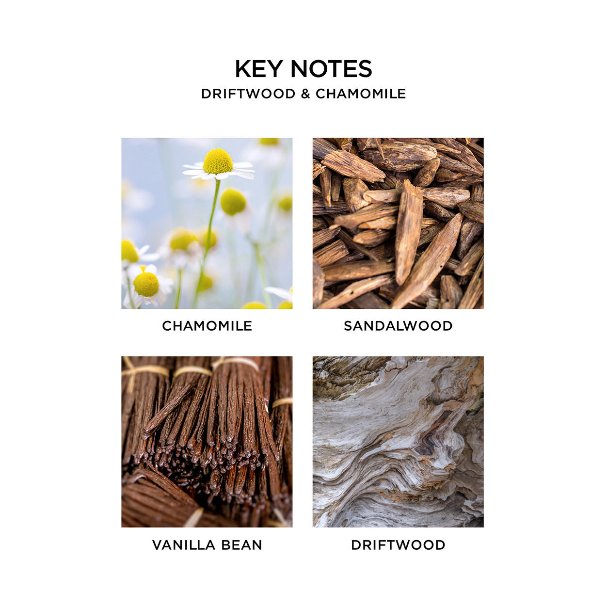 Nest Driftwood and Chamomile Candle