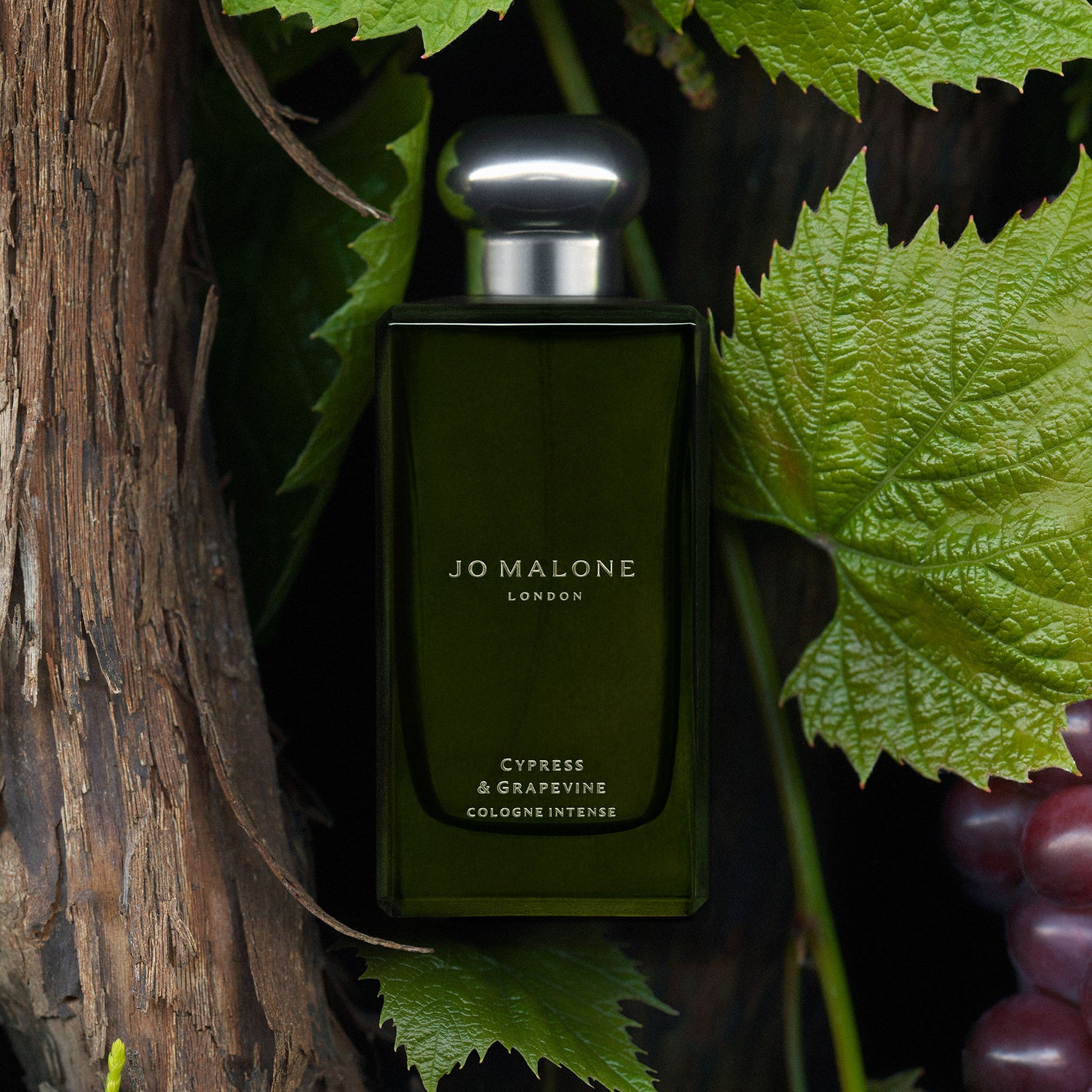 Lifestyle image of Jo Malone London Cypress and Grapevine Cologne Intense