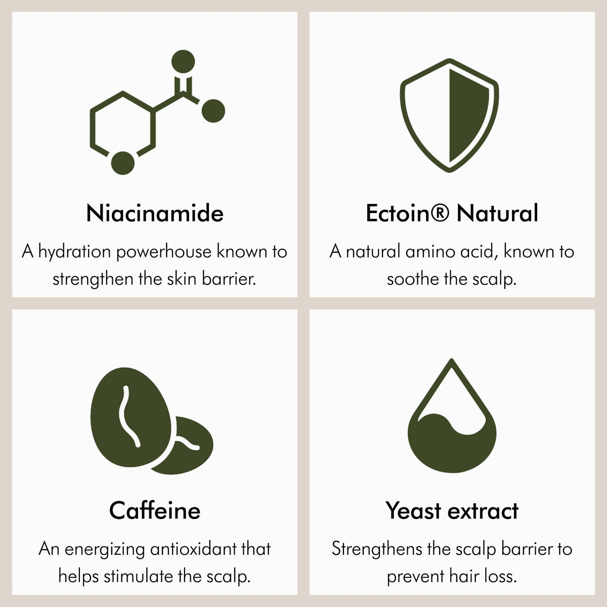 Information related to Dyson Amino Balance & Strengthen Scalp Treatment for Fuller Looking Hair