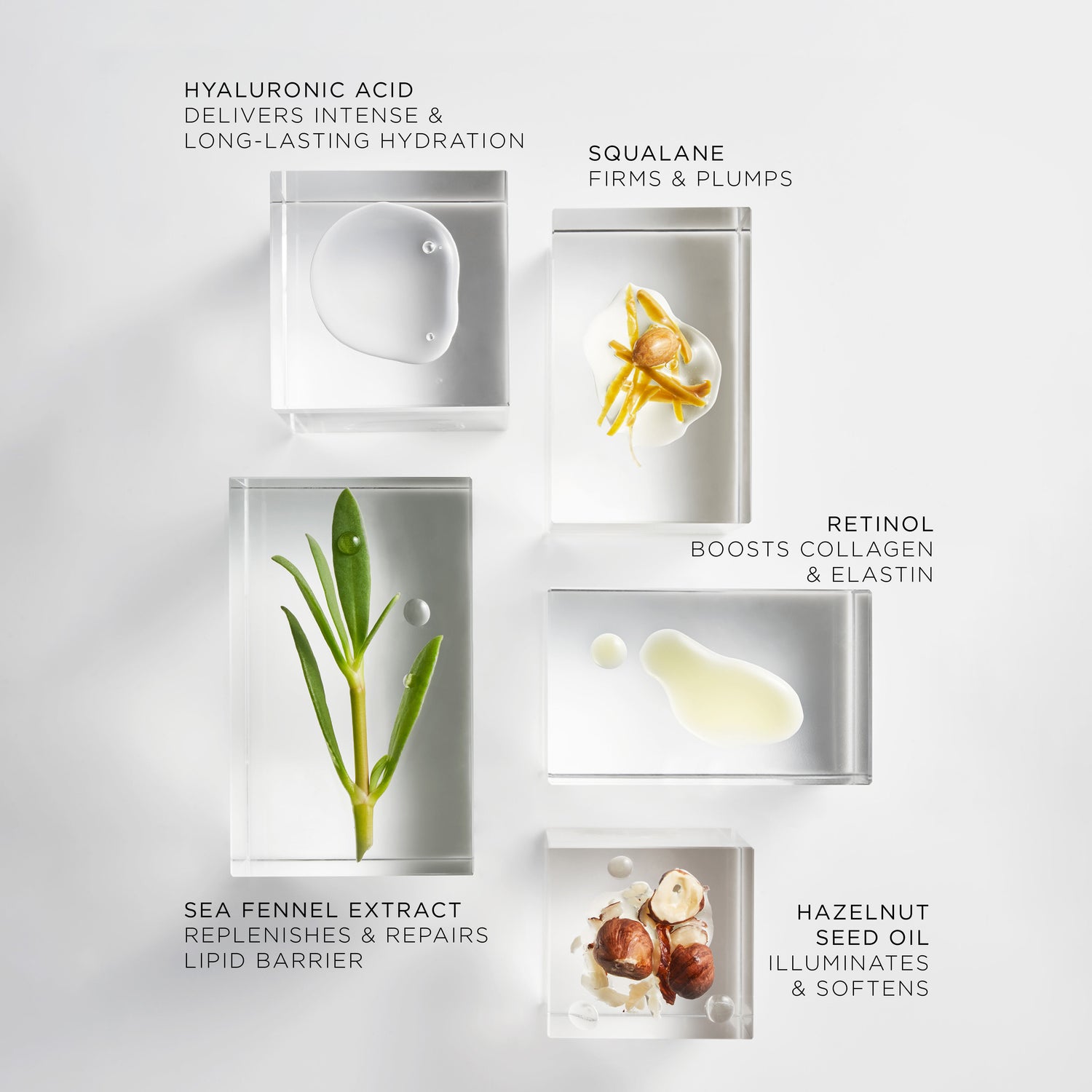 Information related to Noble Panacea The Absolute Nourishing Lift Oil