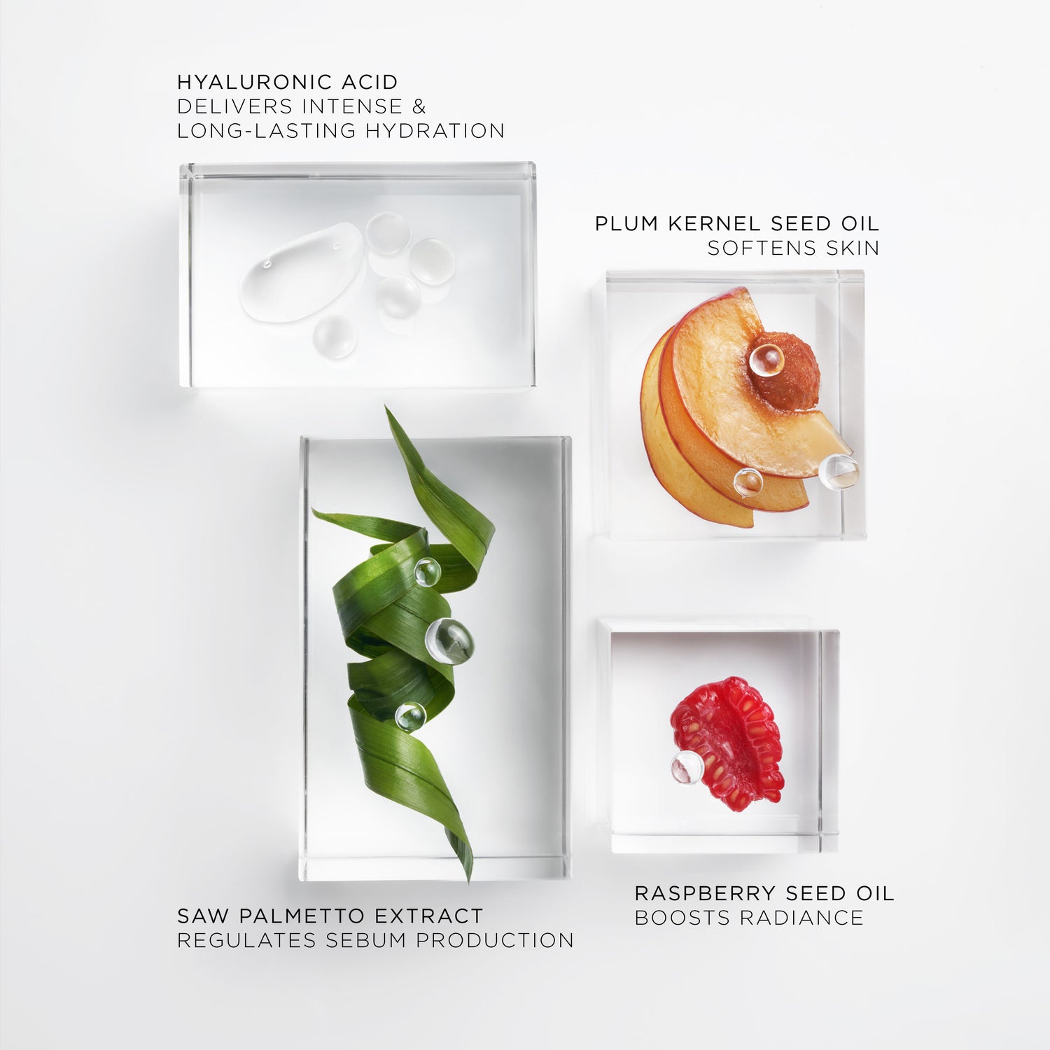 Information related to Noble Panacea The Brilliant Glow Hydration Oil