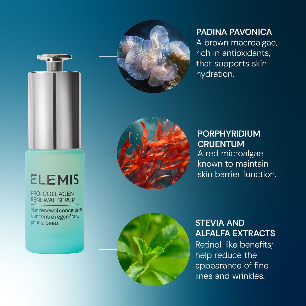 Lifestyle image of Elemis Pro-Collagen Renewal Serum