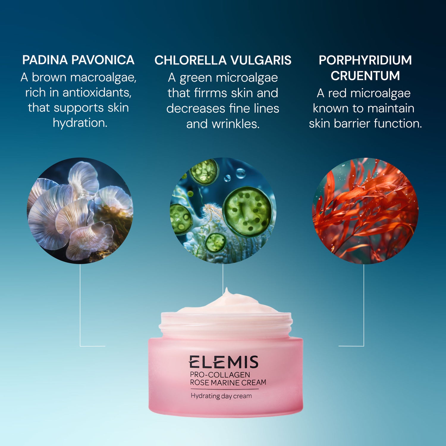 Lifestyle image of Elemis Pro-Collagen Marine Cream