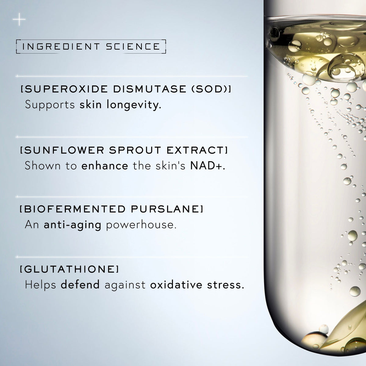 Lifestyle image of Dr. Barbara Sturm Super Anti-Aging Serum
