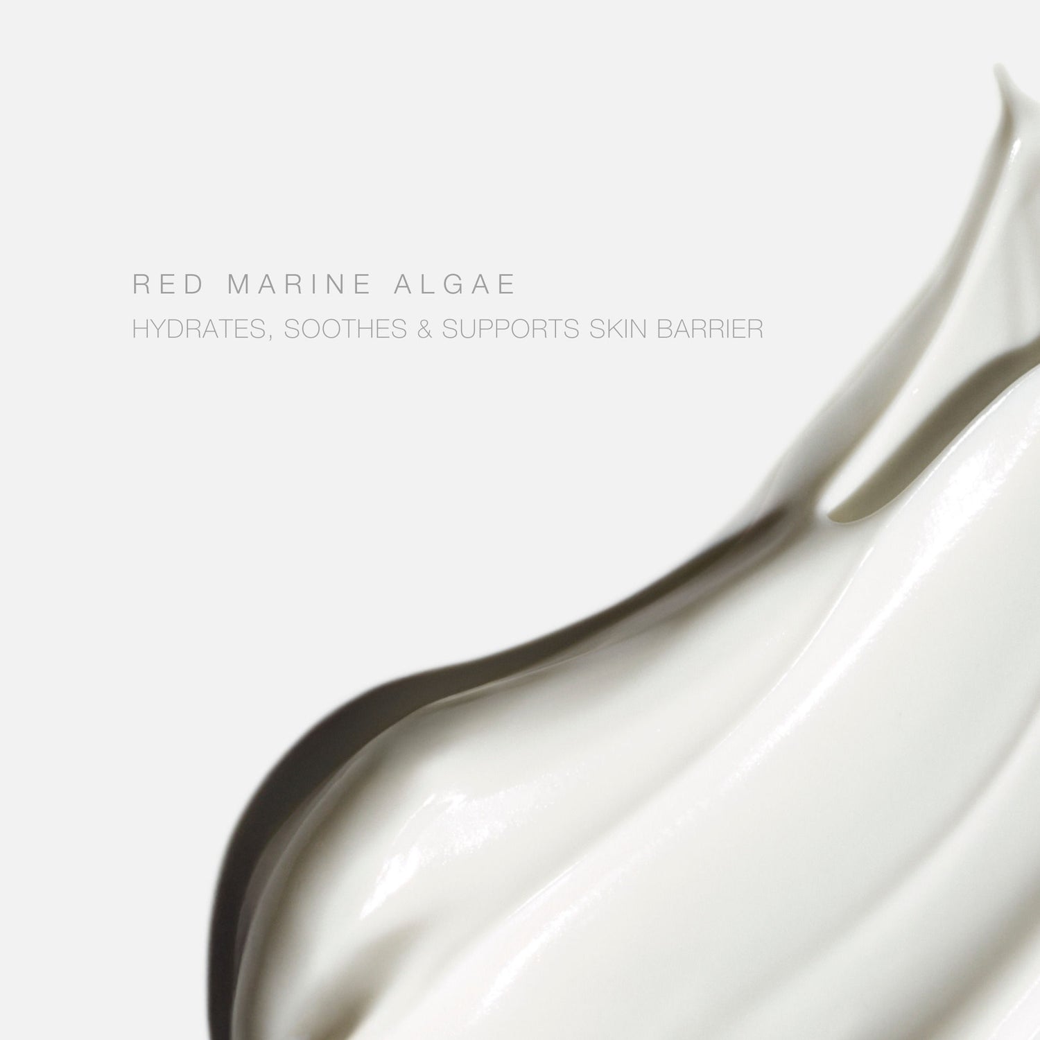 Information related to Hampton Sun SPF 30 Mineral Lotion