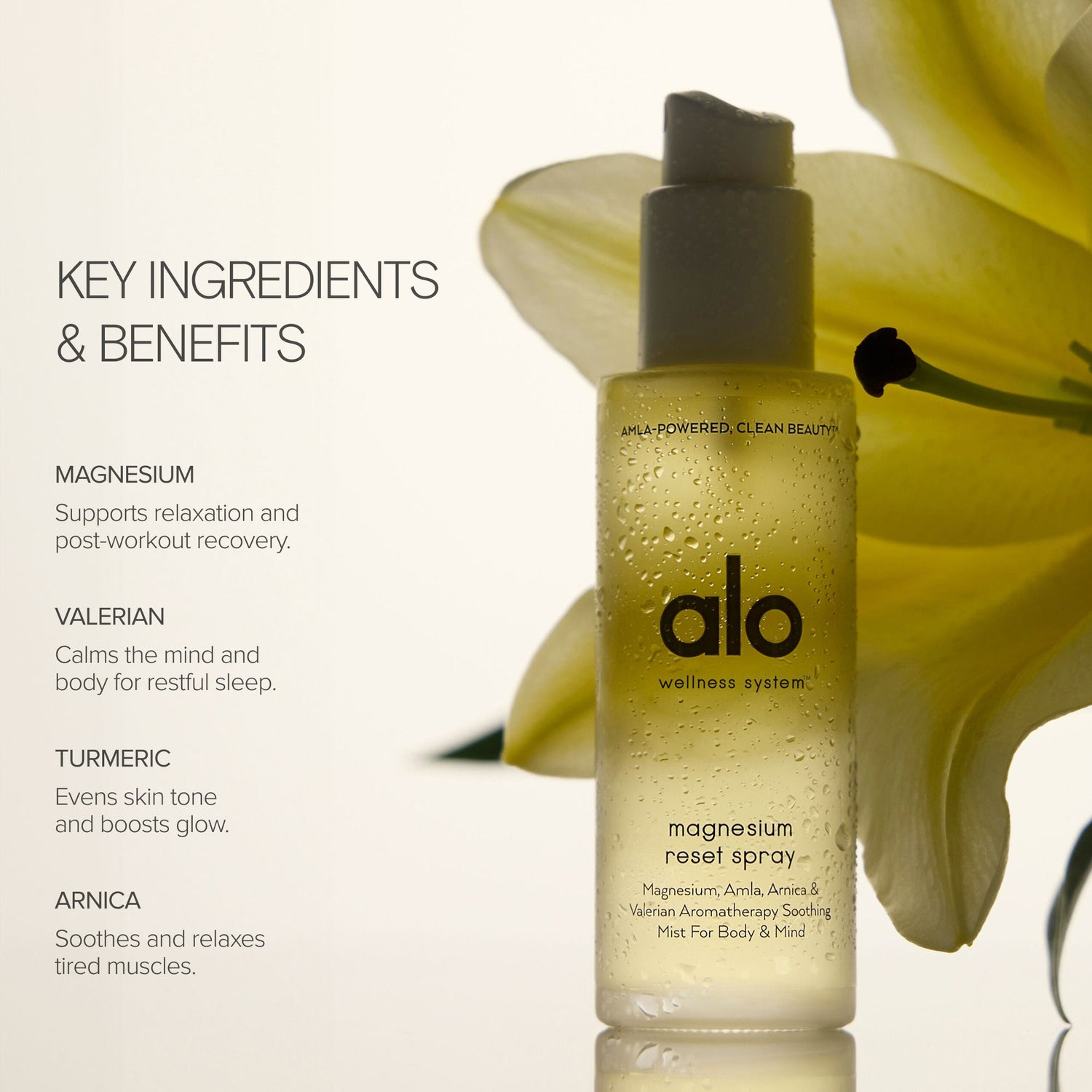 Information related to Alo Magnesium Reset Spray