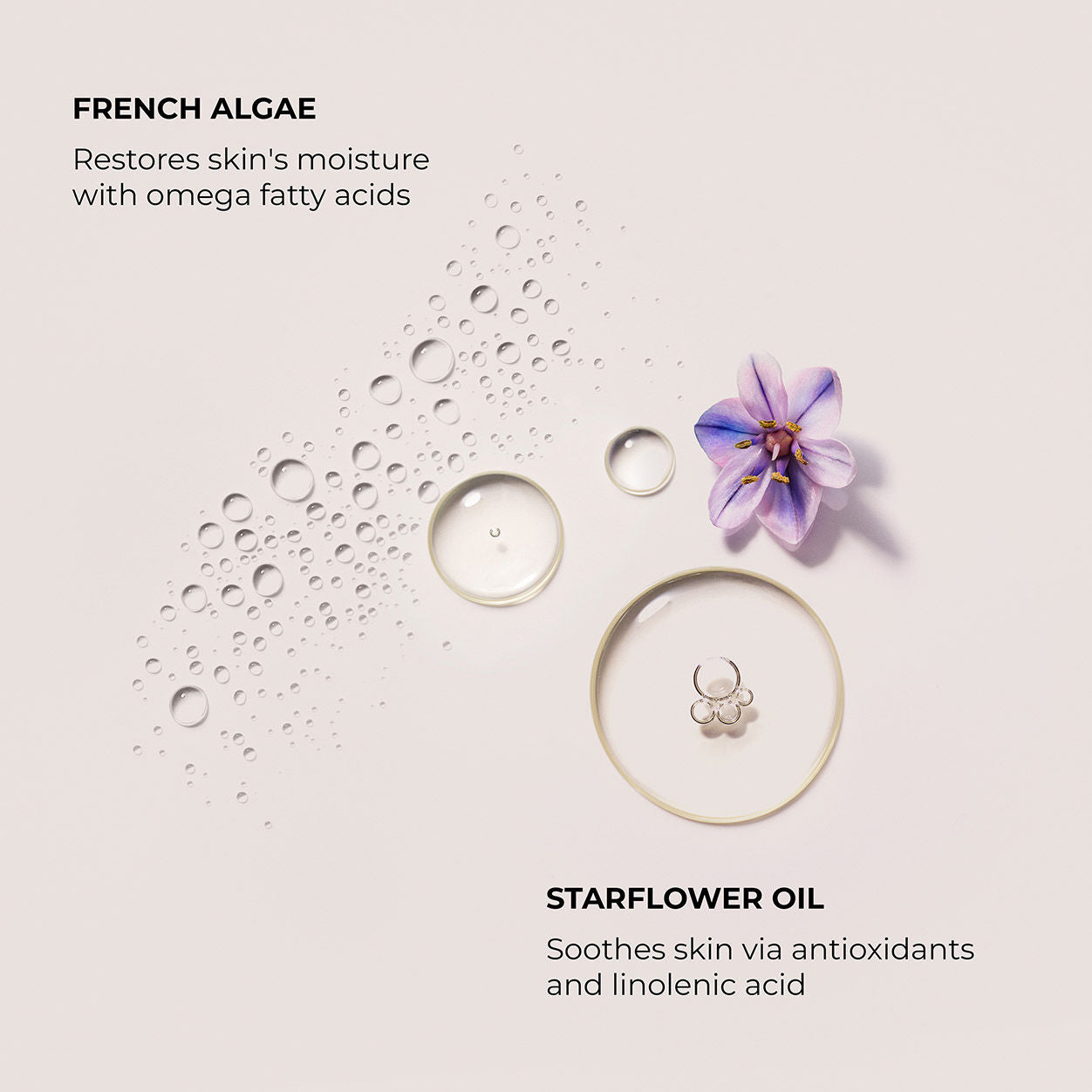 Information related to Laura Mercier Néroli du Sud Serum Body Cream