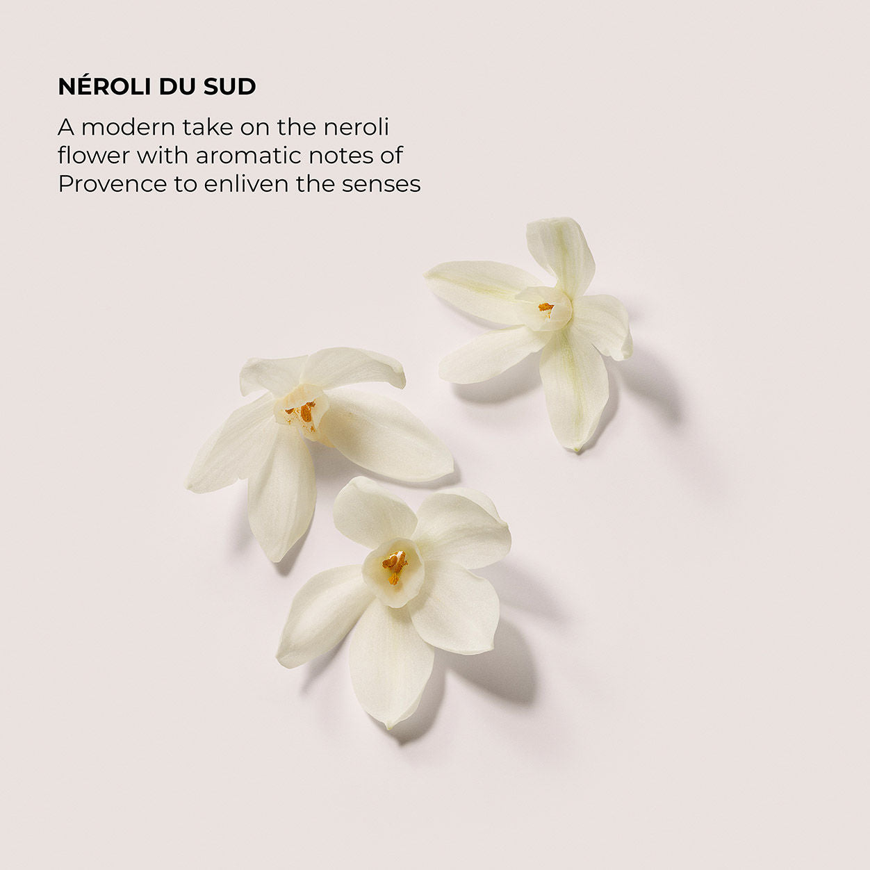 Information related to Laura Mercier Néroli du Sud Serum Body Cream