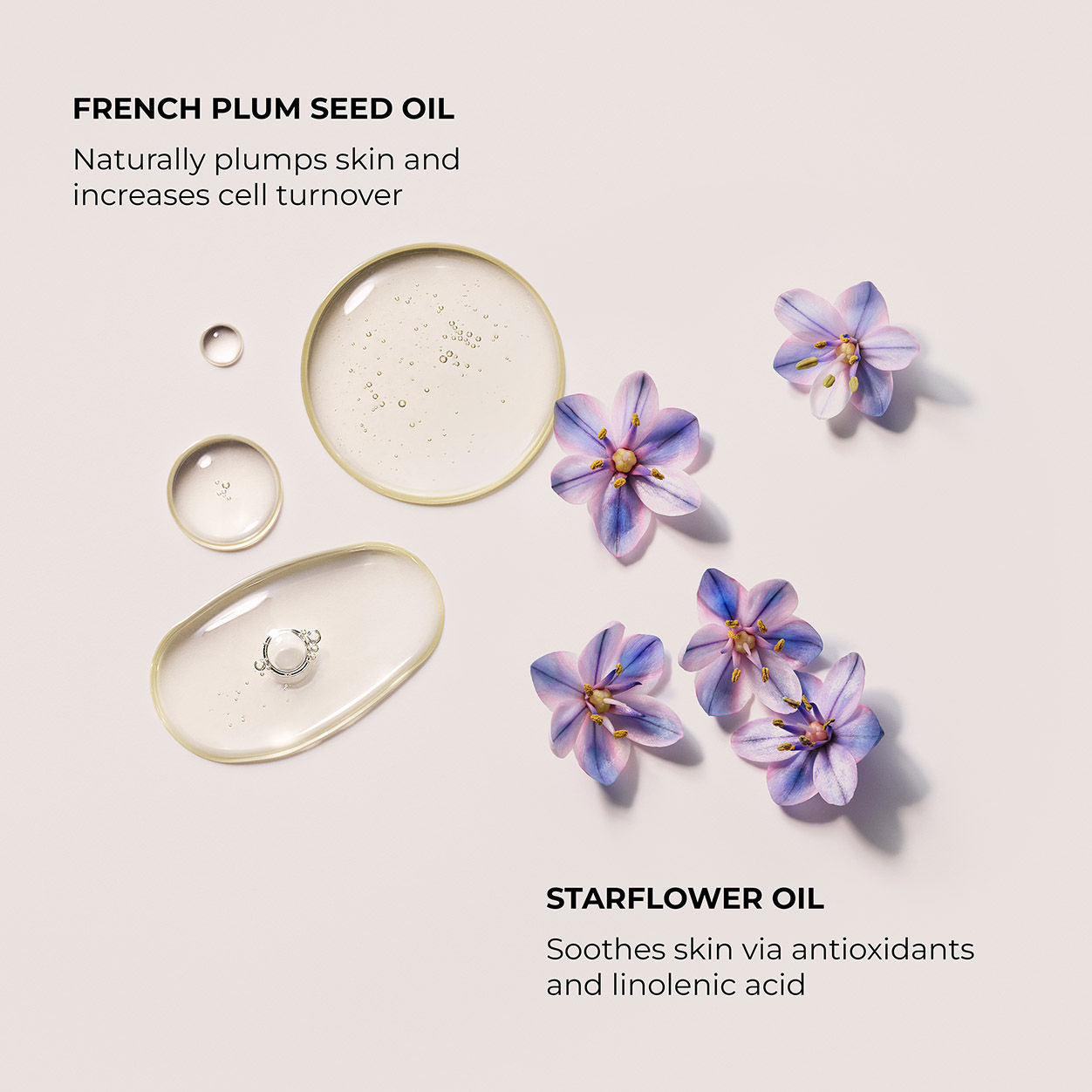 Information related to Laura Mercier Almond Coconut Aromatic Bath and Body Oil