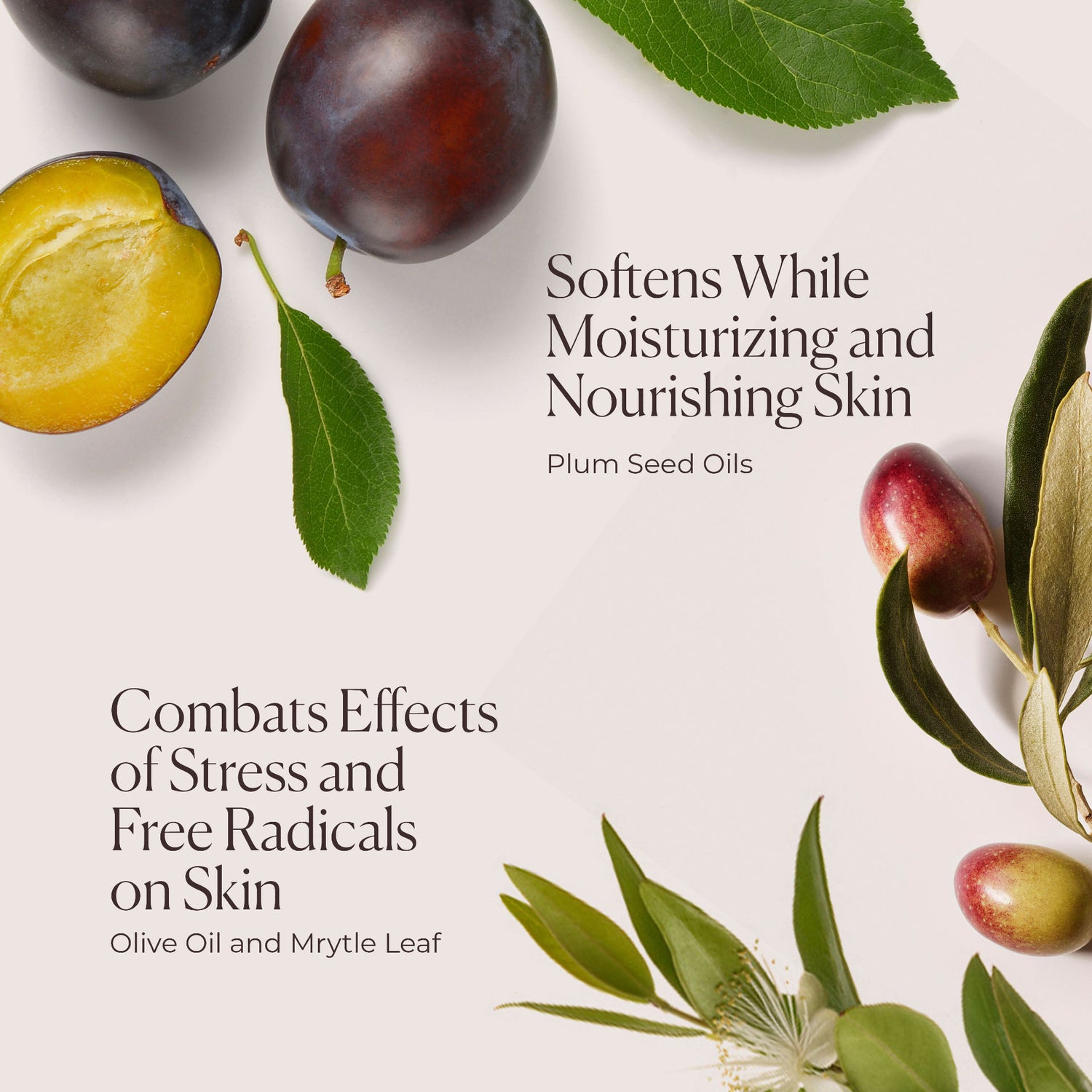 Information related to Laura Mercier Hydrating Body Wash Néroli du Sud