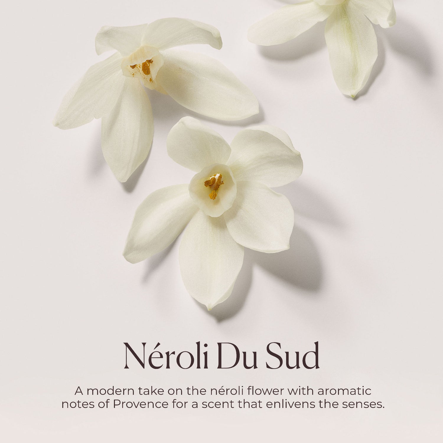 Information related to Laura Mercier Hydrating Body Wash Néroli du Sud