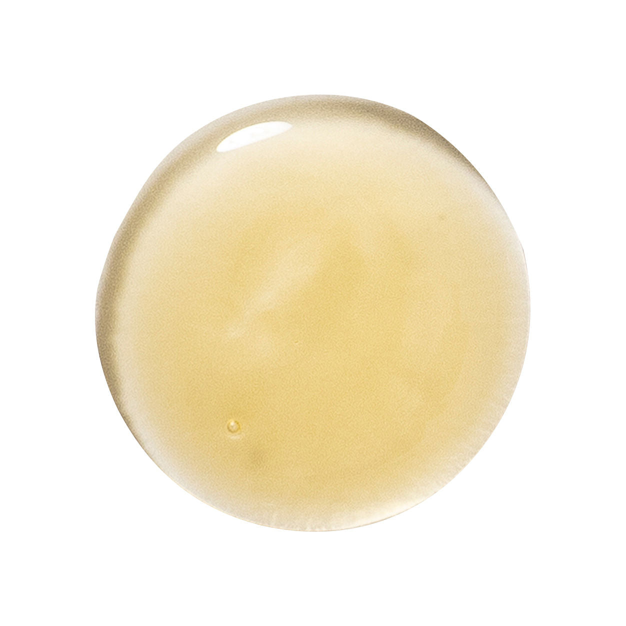 Swatch image of Klorane Nourishing Dry Hair Shampoo With Mango