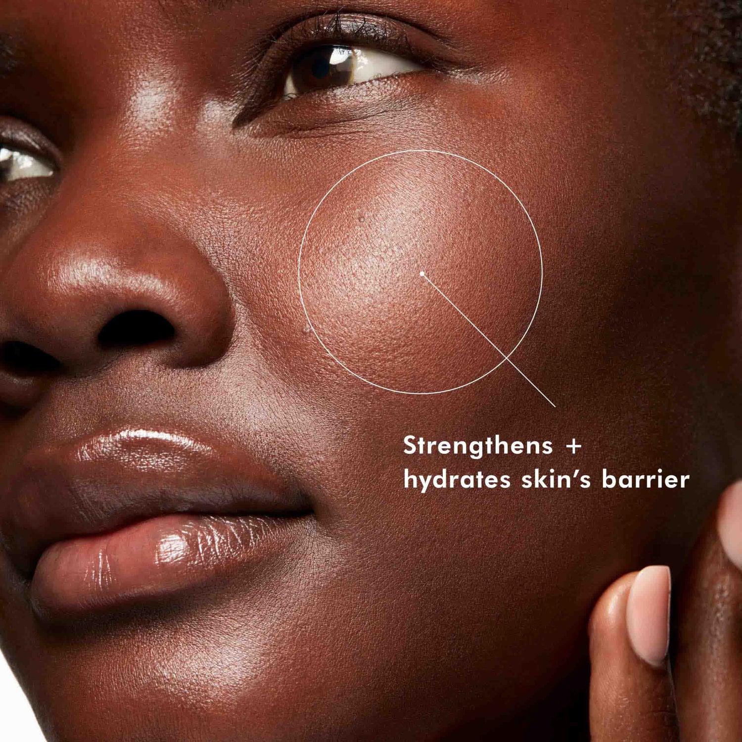 SkinCeuticals Phyto Corrective Essence Mist infographics image 3 .