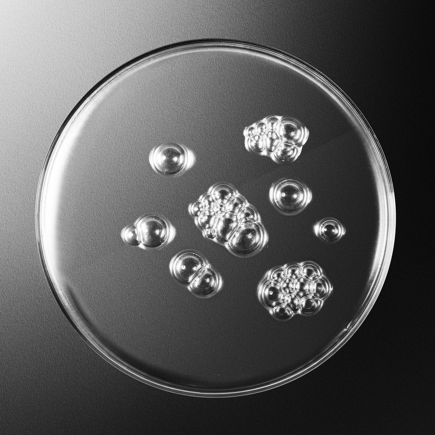 Swatch image of Sisley Paris Sisleÿum Revitalizing Toning Lotion