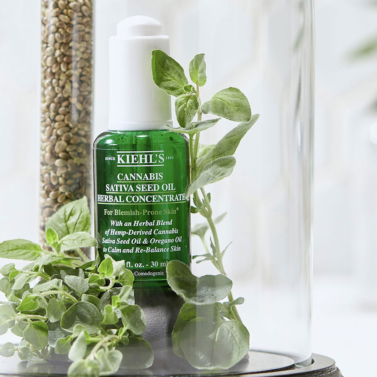 Lifestyle image of Kiehl's Since 1851 Cannabis Sativa Seed Oil Herbal Concentrate