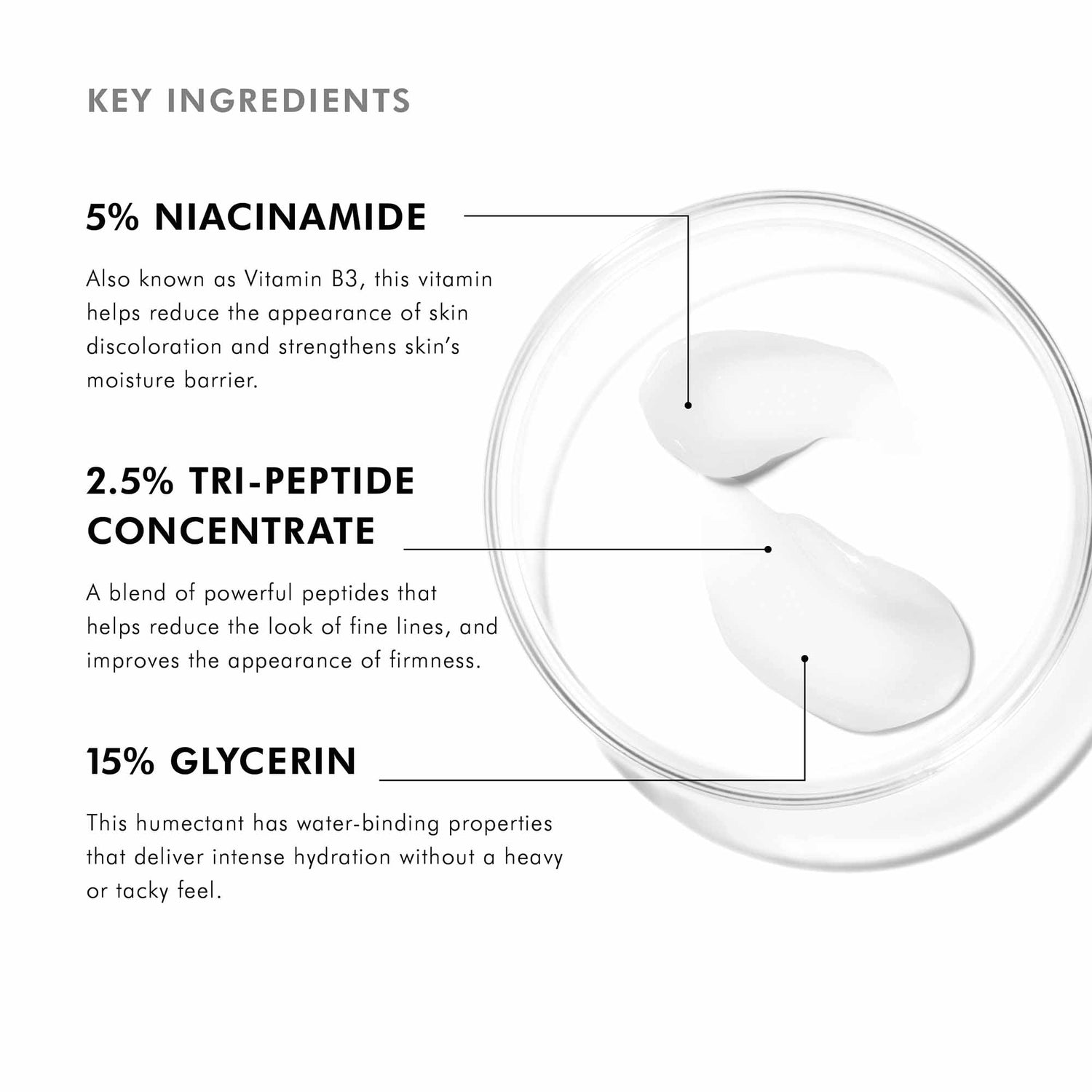 Image of product in the same collection as SkinCeuticals Metacell Renewal B3