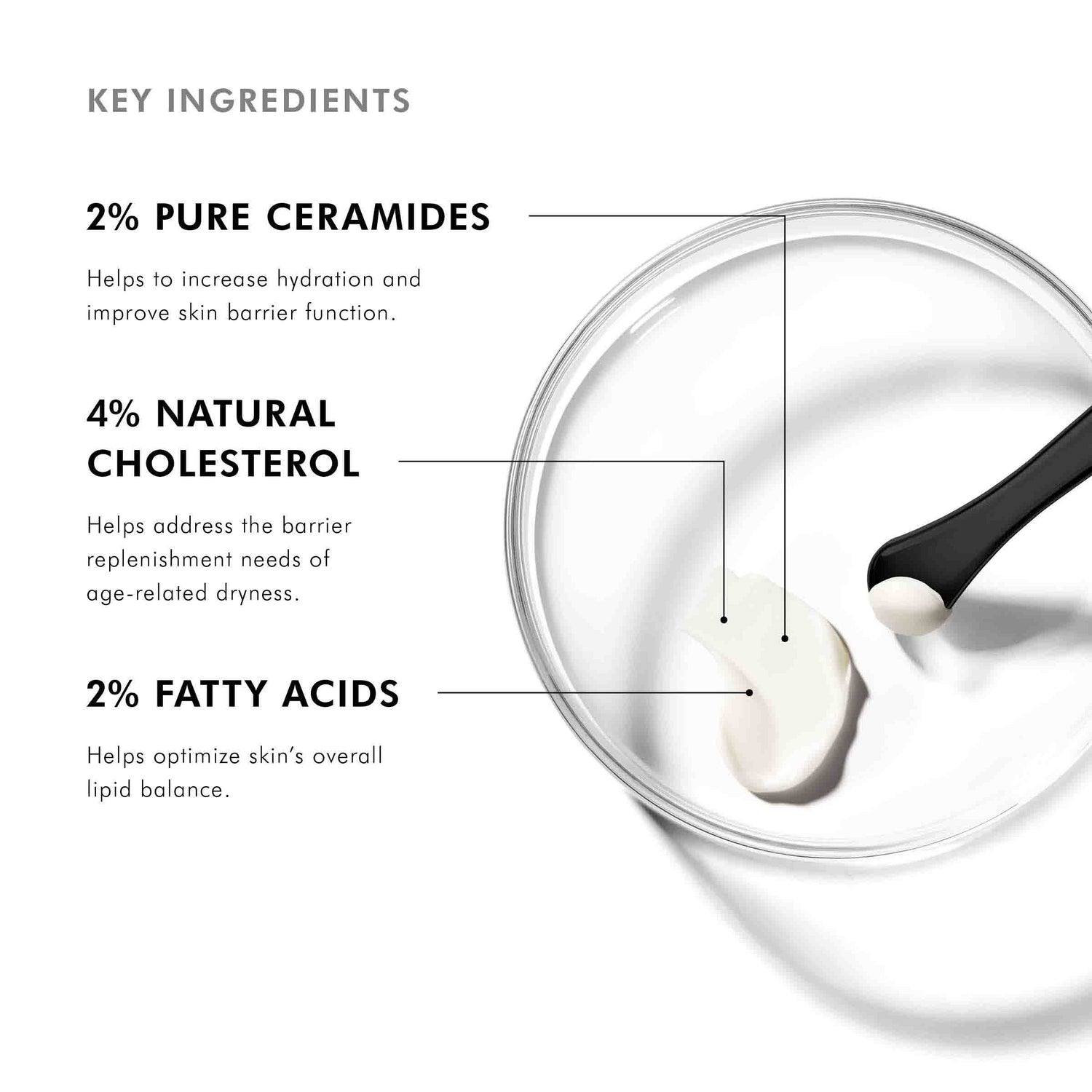 Image of product in the same collection as SkinCeuticals Triple Lipid Restore 2:4:2