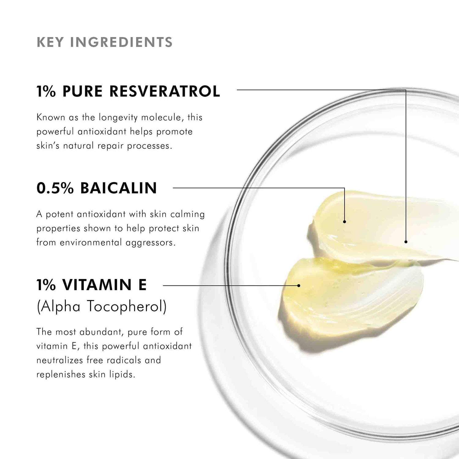 Information related to SkinCeuticals Resveratrol BE