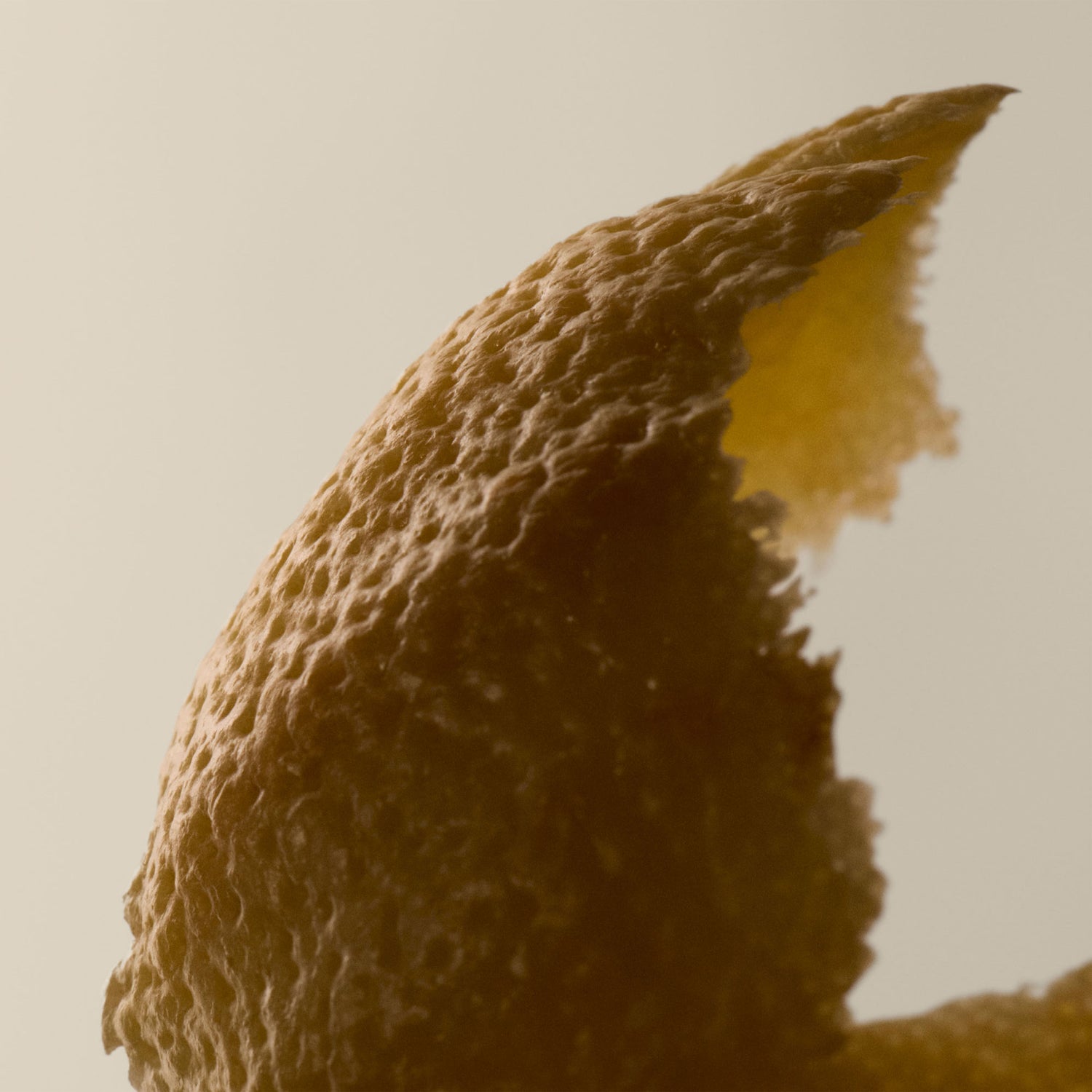 Model image of Aesop Reverence Aromatique Hand Balm