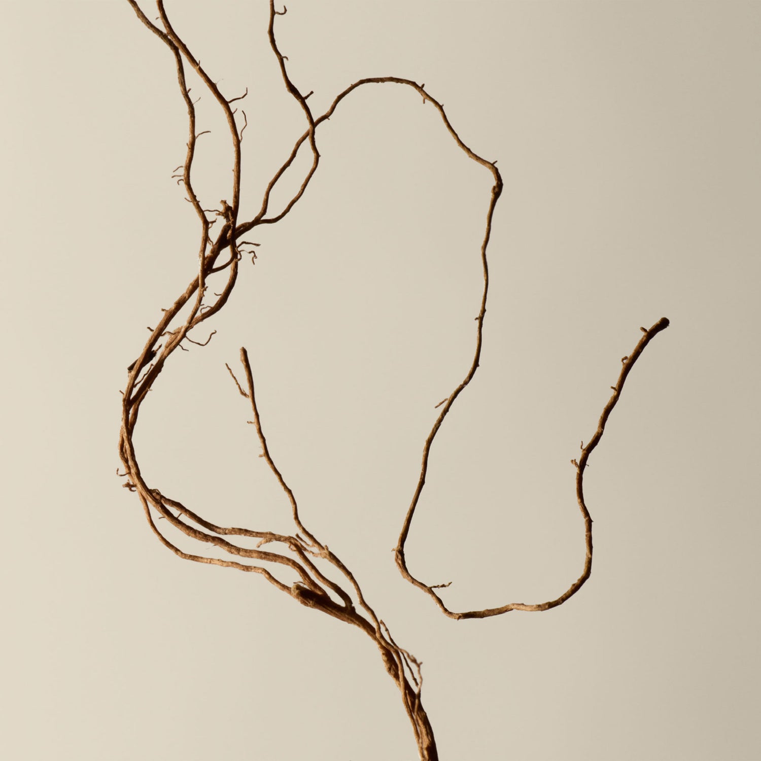 Lifestyle image of Aesop Reverence Aromatique Hand Balm