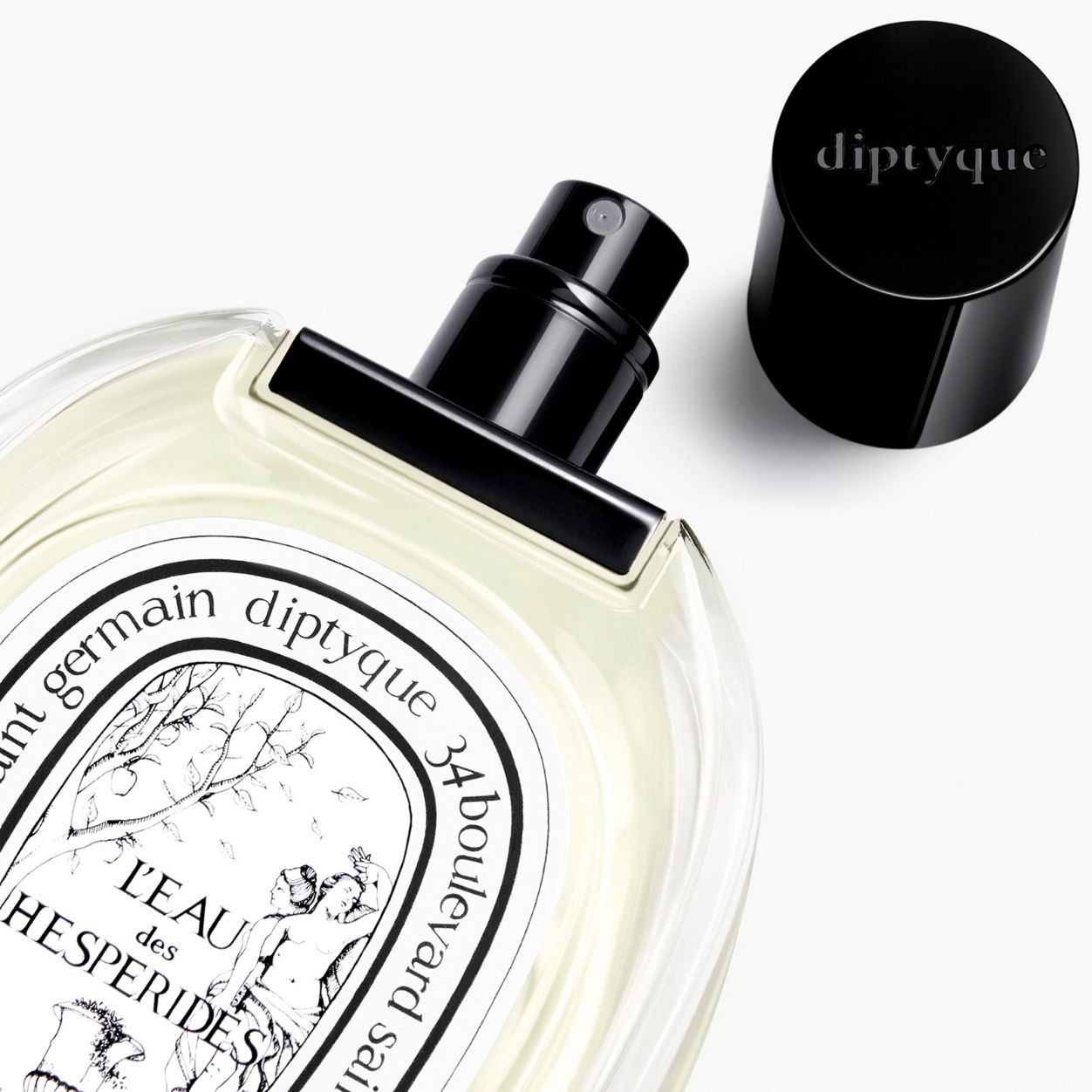 Image of an open Diptyque L'Eau des Hespérides Eau de Toilette
