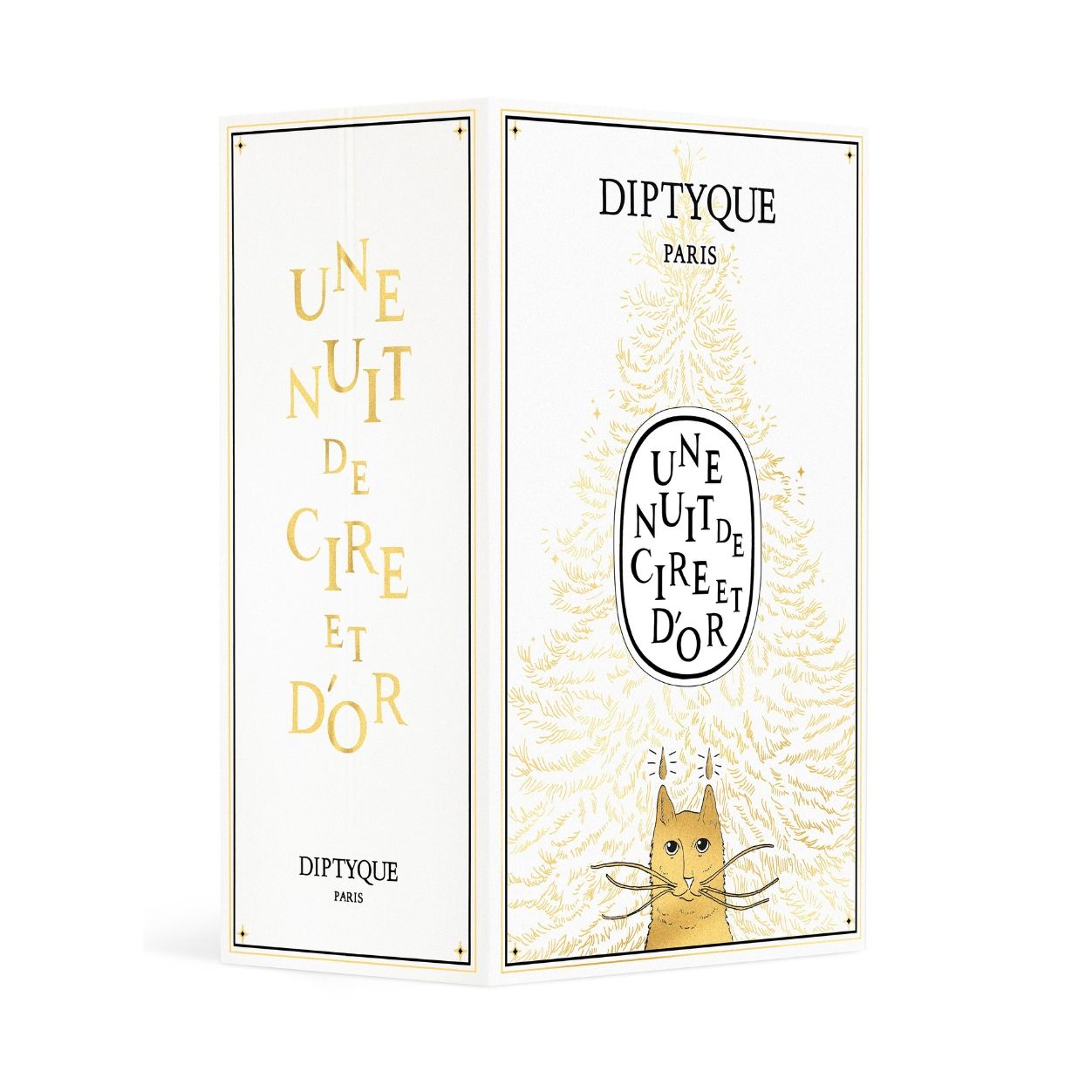 Image of the Diptyque Advent Calendar 25 Scented Treasures (Limited Edition) box