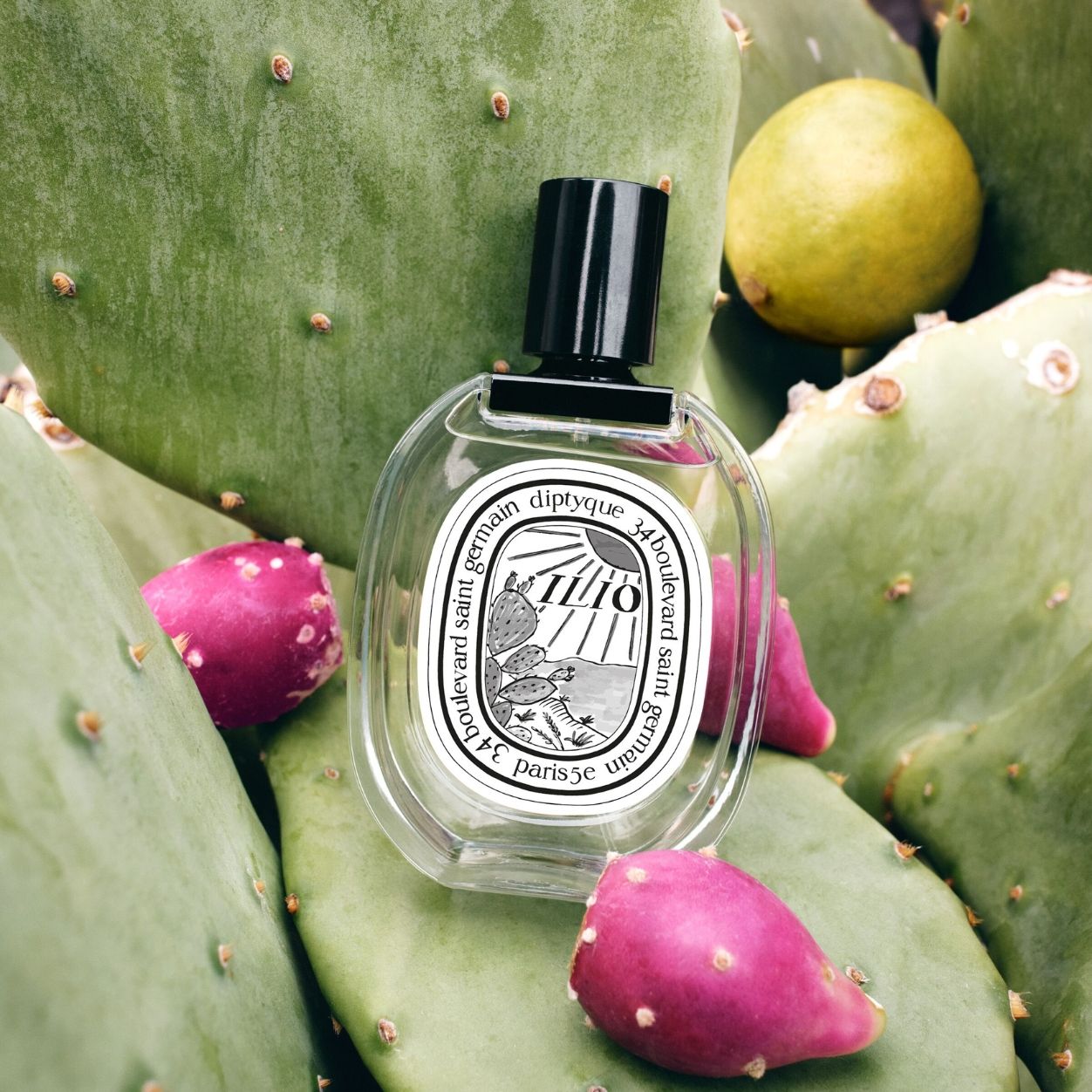 Lifestyle image of Diptyque Ilio Eau De Toilette