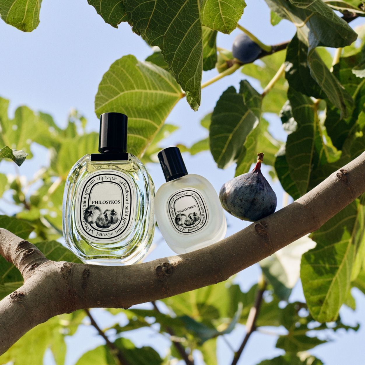 Lifestyle image of Diptyque Philosykos Hair Mist