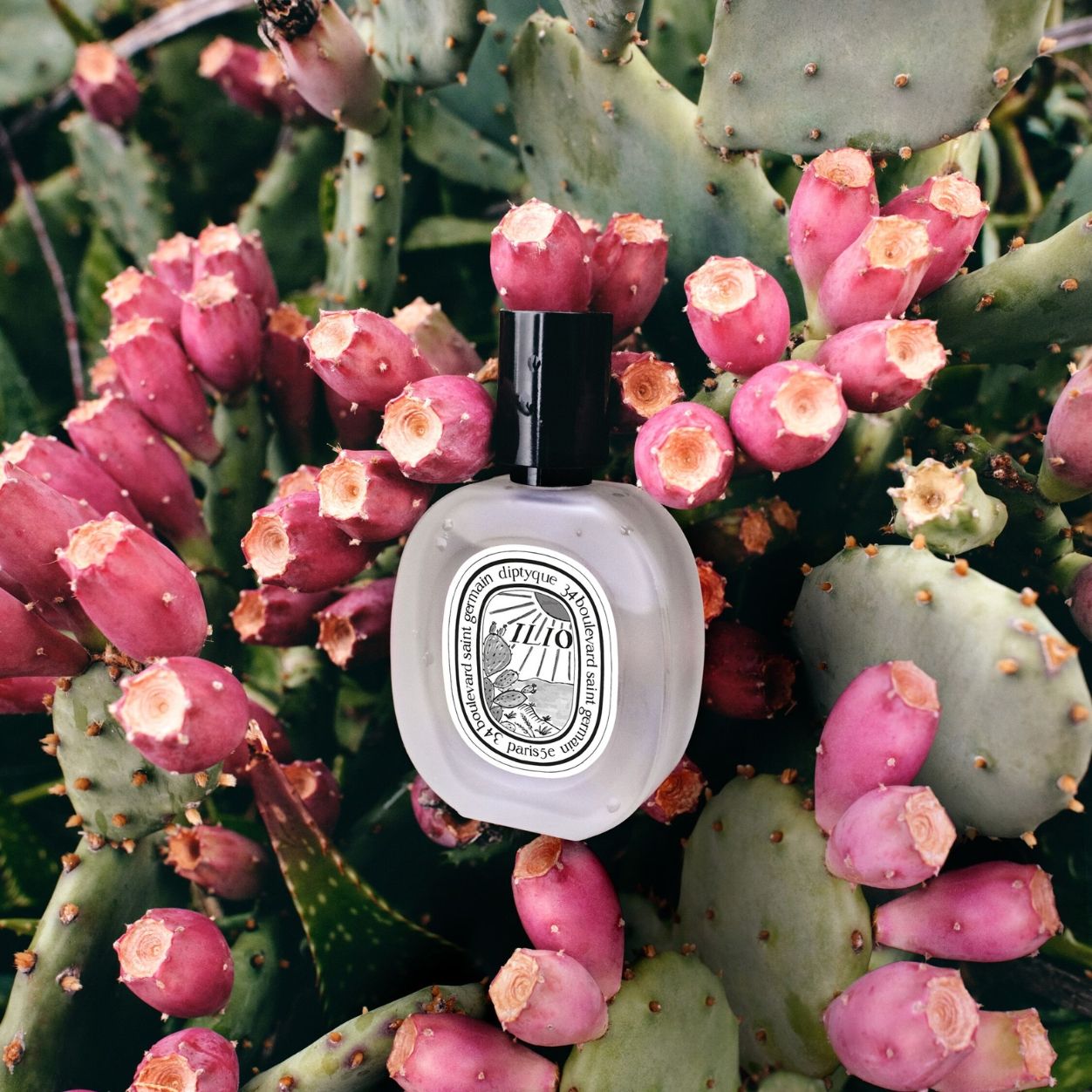 Lifestyle image of Diptyque Ilio Hair Mist (Limited Edition)