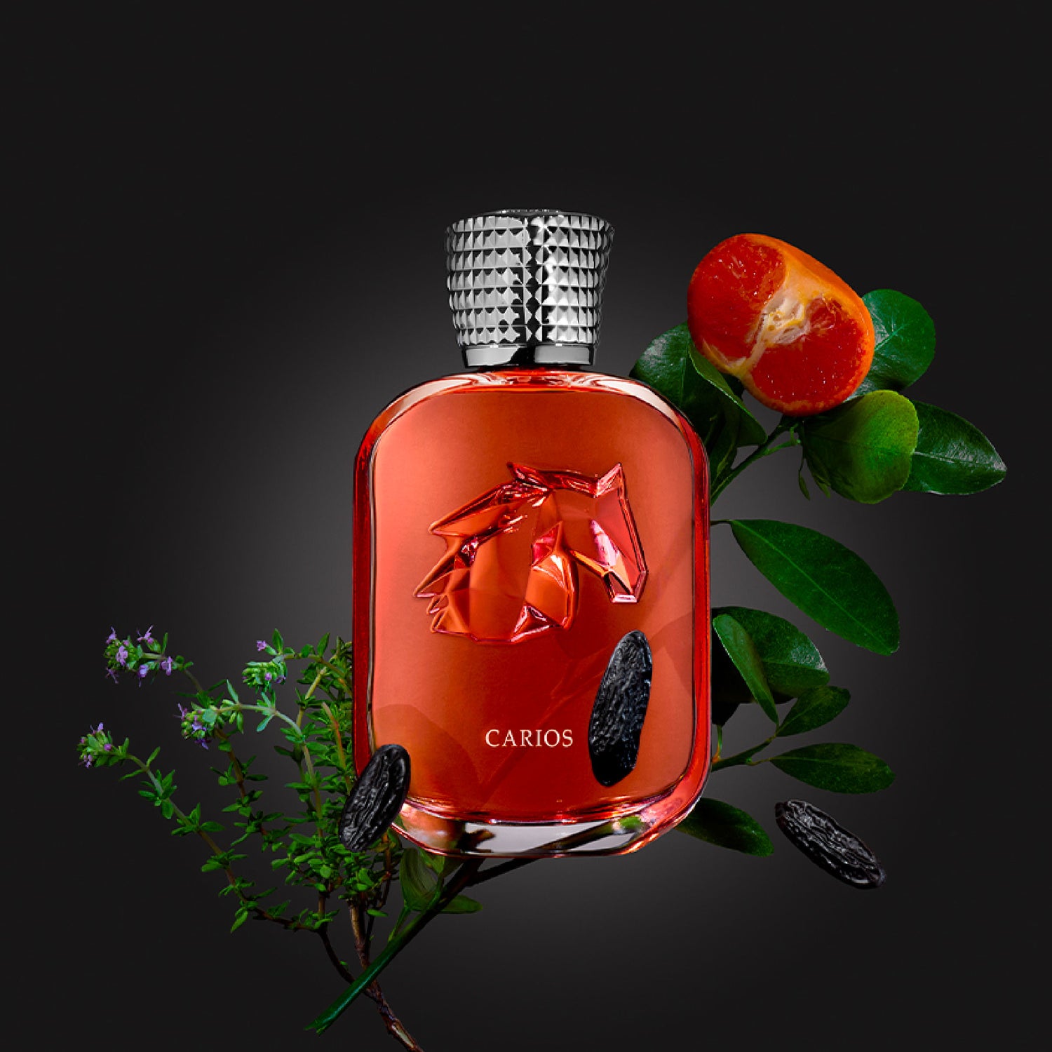 Lifestyle image of Parfums de Marly Carios Extrait de Parfum