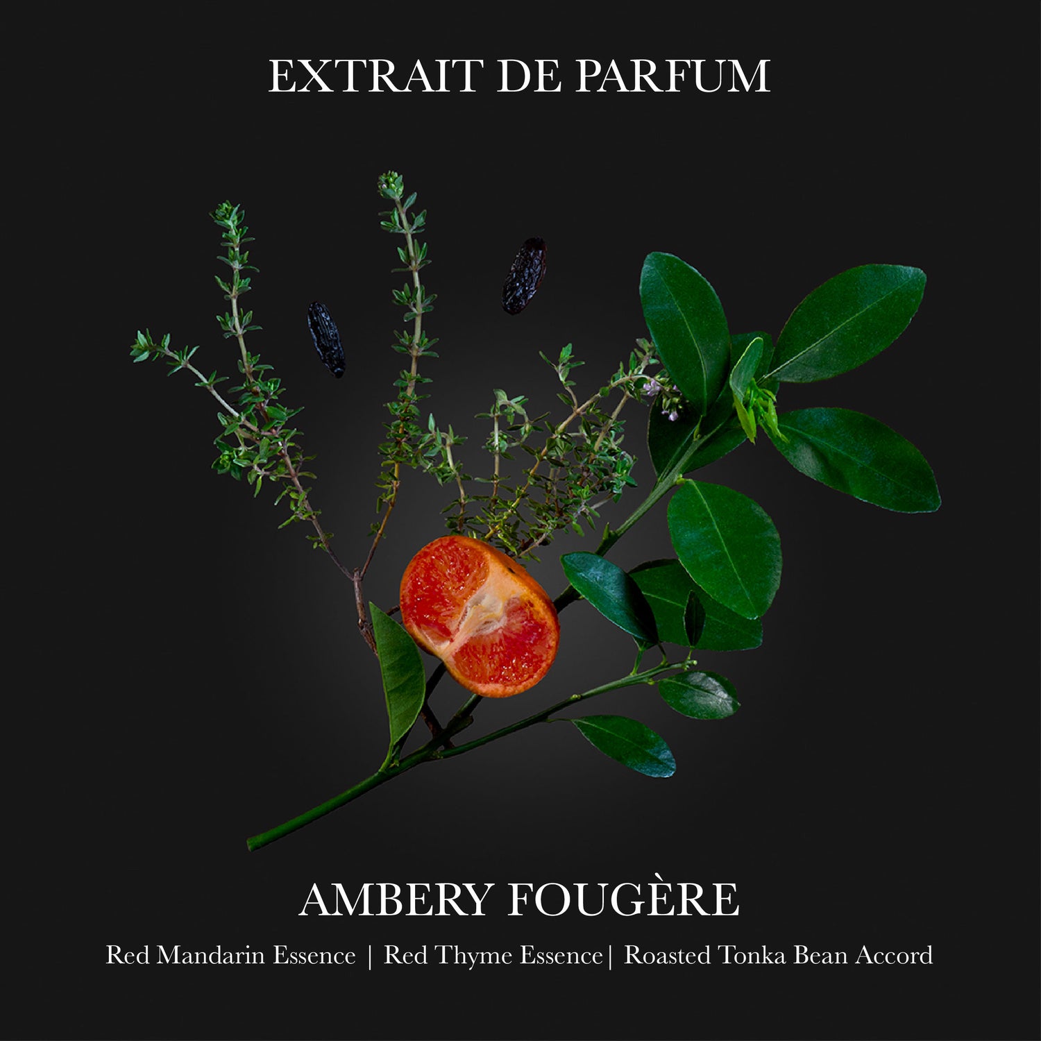 Lifestyle image of Parfums de Marly Carios Extrait de Parfum