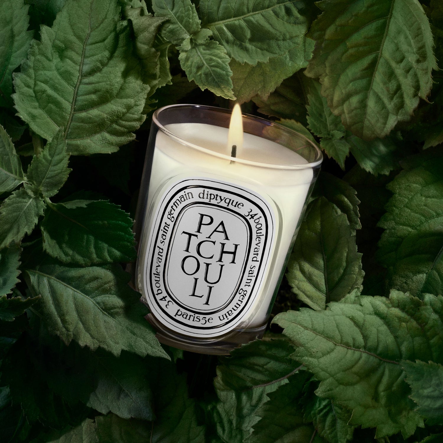 Swatch image of Diptyque Patchouli Candle