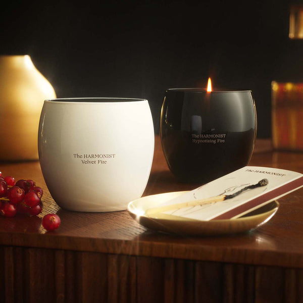Amazon.com: ZXMEAN Candle Warmer Lamp with Dimmer, Electric