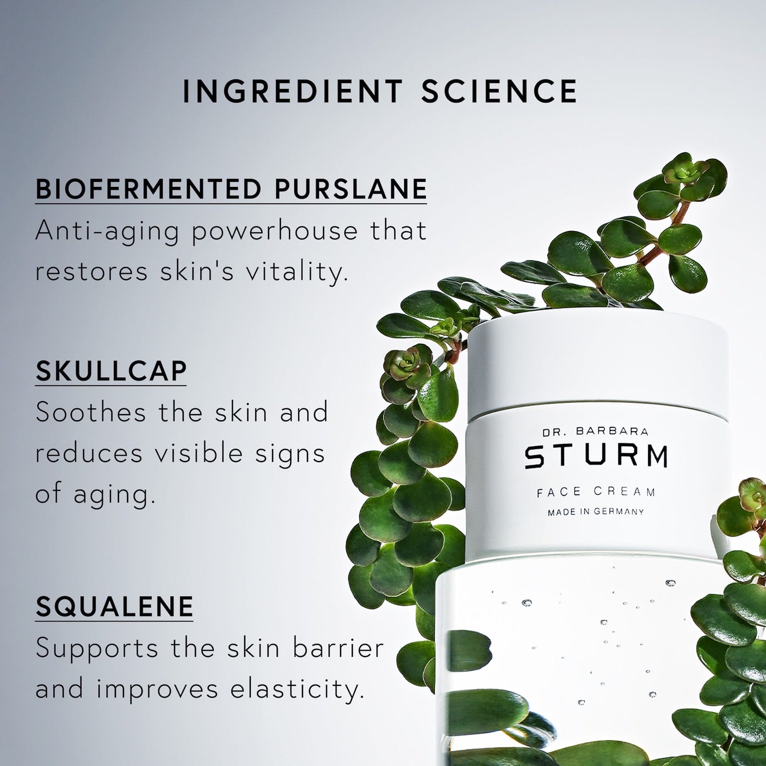 Lifestyle image of Dr. Barbara Sturm Face Cream