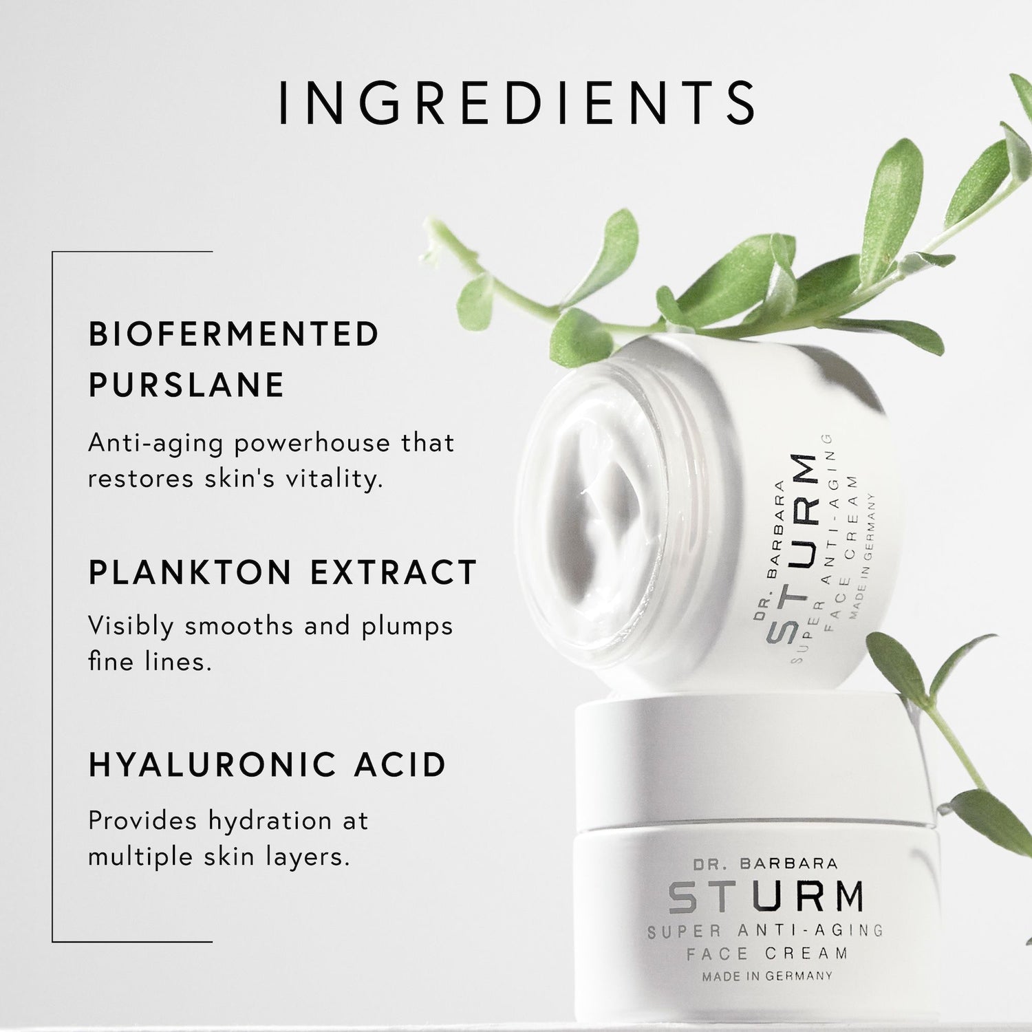 Lifestyle image of Dr. Barbara Sturm Super Anti-Aging Face Cream