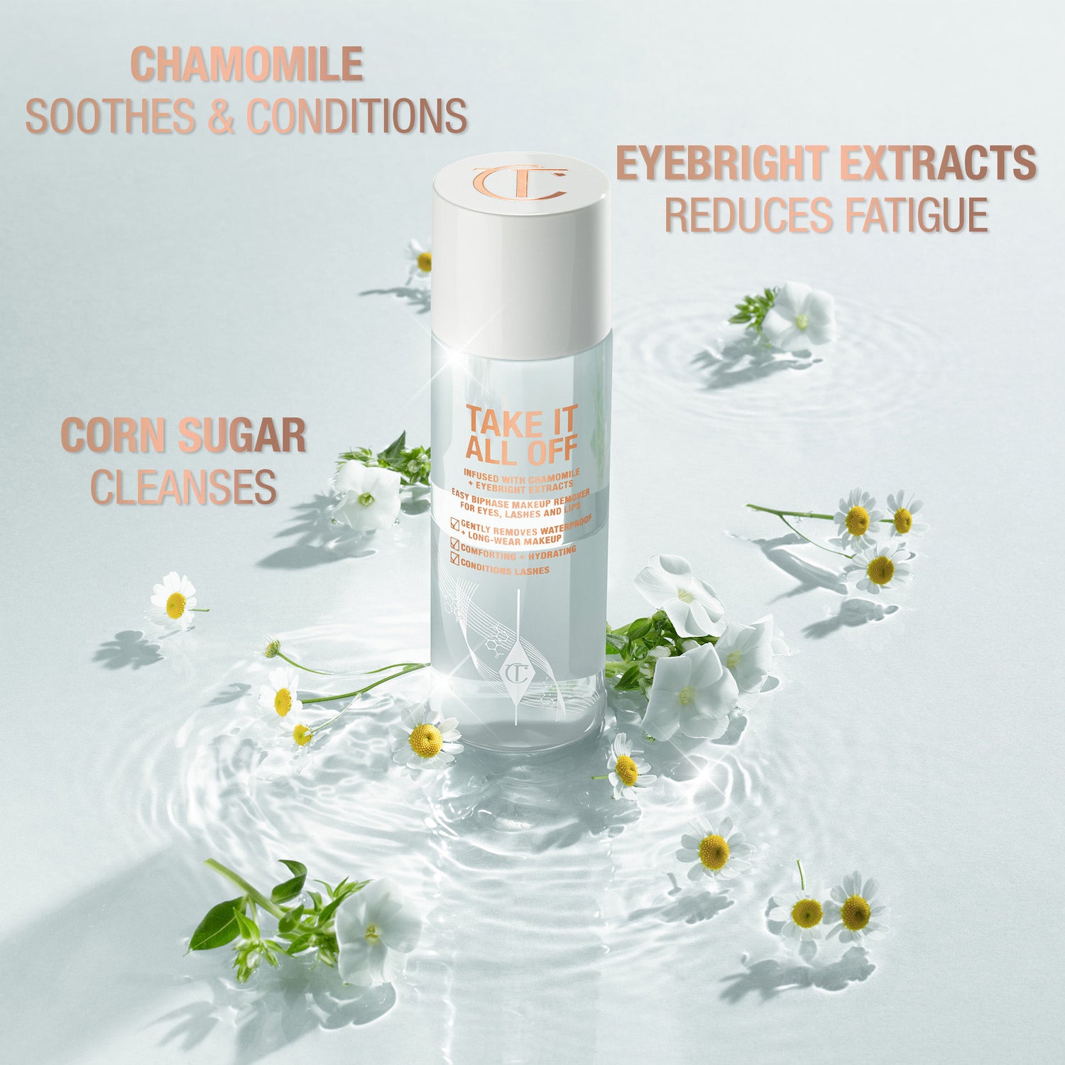 Information related to Charlotte Tilbury Take It All Off