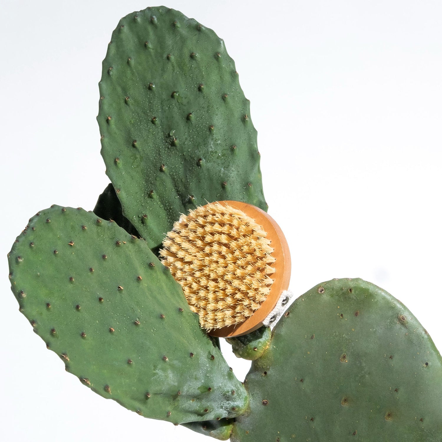 Lifestyle image of Legology Lymph-Lite Boom Brush for Body