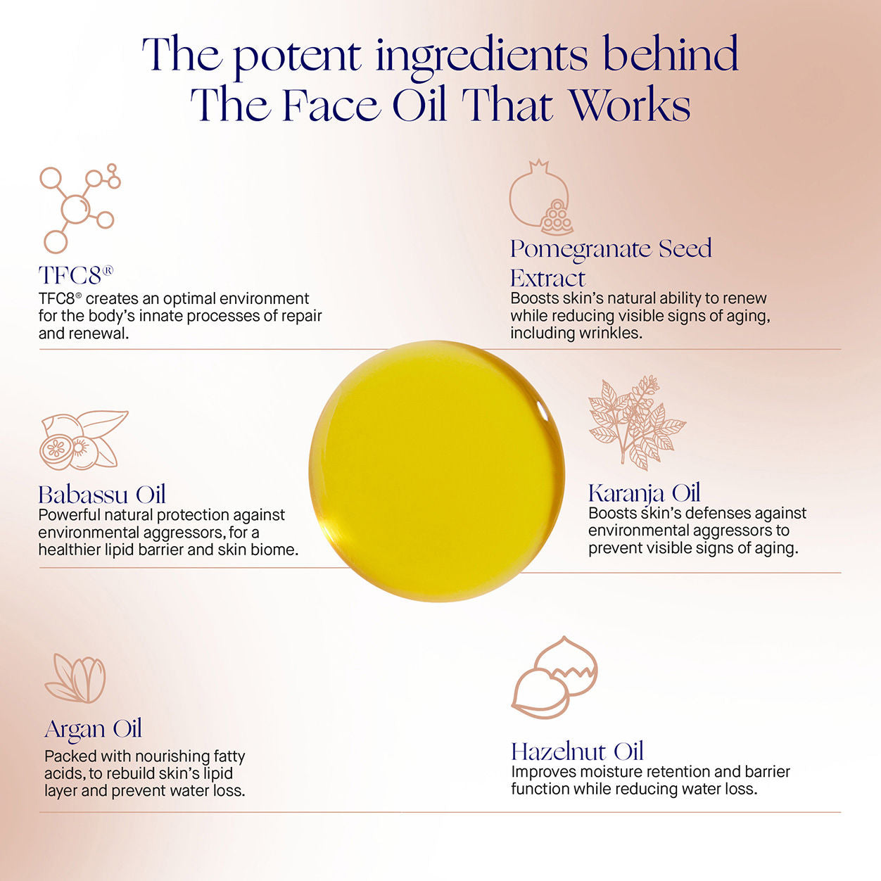 Information related to Augustinus Bader The Face Oil