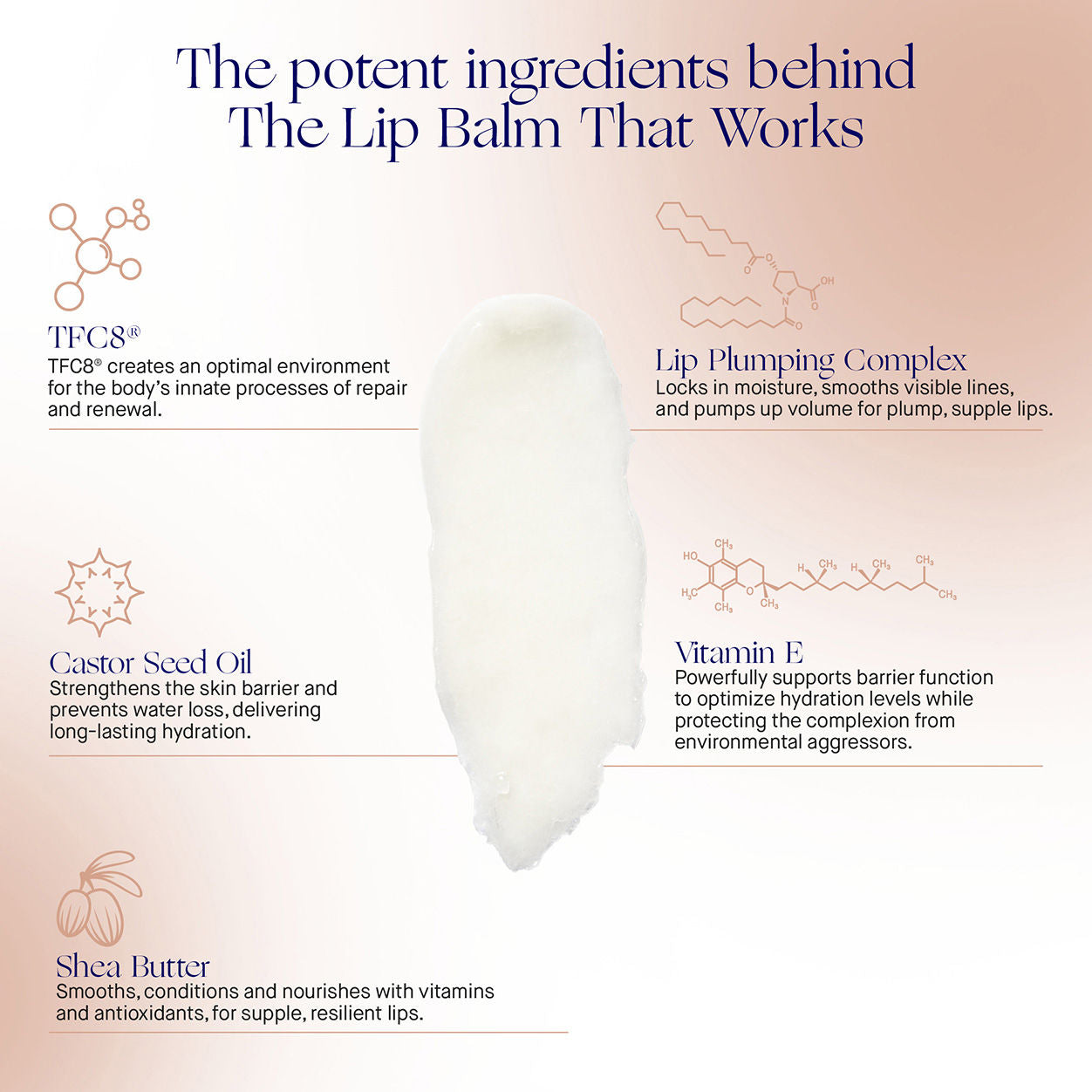 Information related to Augustinus Bader The Lip Balm