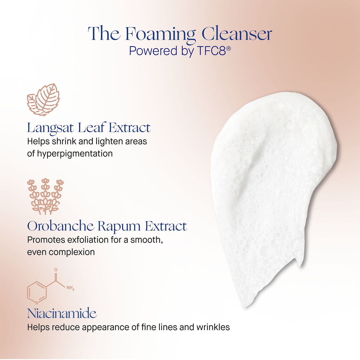 Information related to Augustinus Bader The Foaming Cleanser