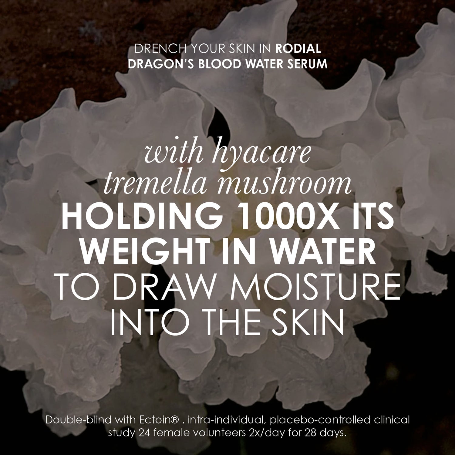 Information related to Rodial Dragon's Blood Hydration Heroes Exclusive Kit
