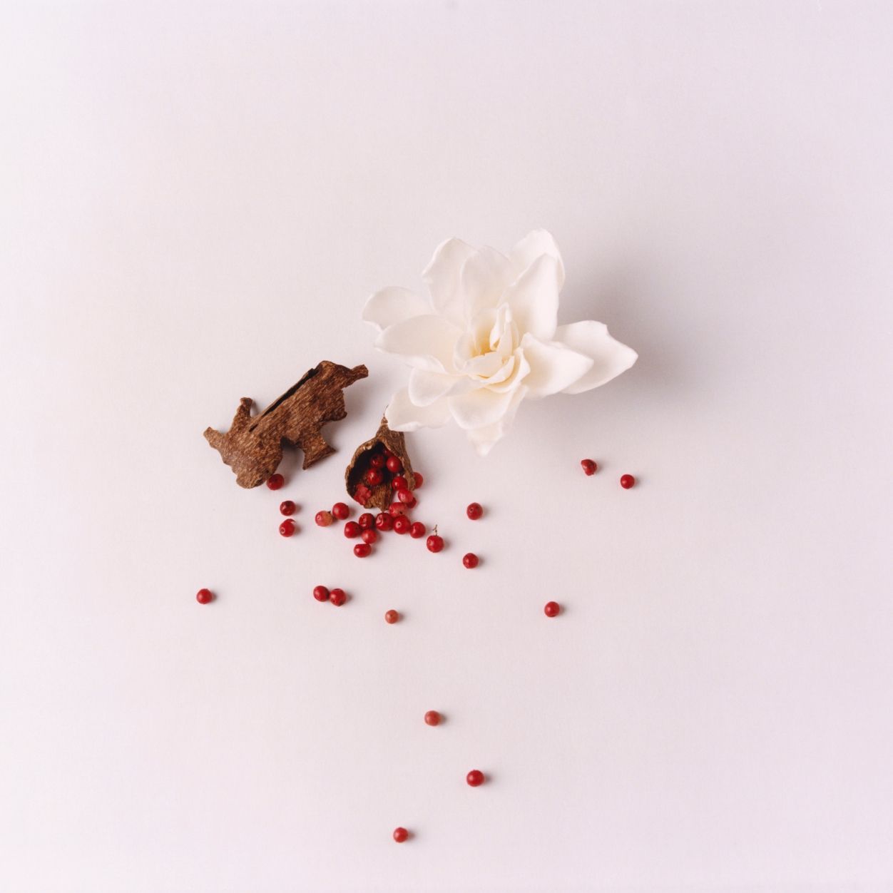 Lifestyle image of Liberty LBTY. Woody Eau De Parfum Discovery Set