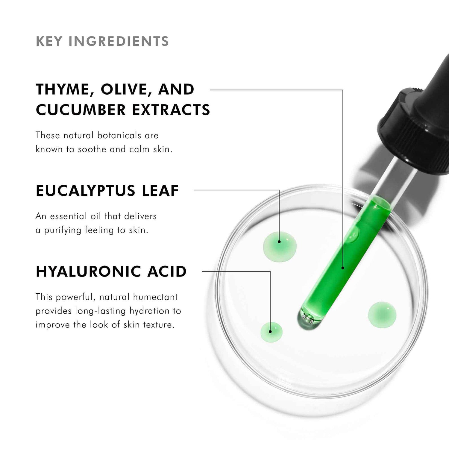 Information related to SkinCeuticals Phyto Corrective Gel